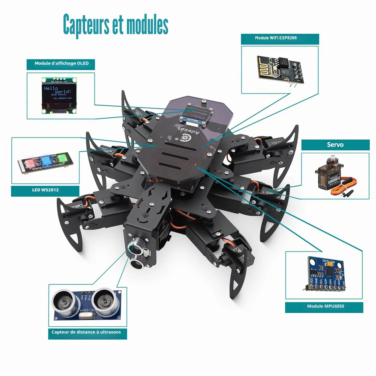 Adeept Hexapod Spider Robot Kit Compatible with Arduino, Spider Walking Crawling Robot, Programming Project Steam Robotics Kit with OLED Display and Metal Body, PDF Manual