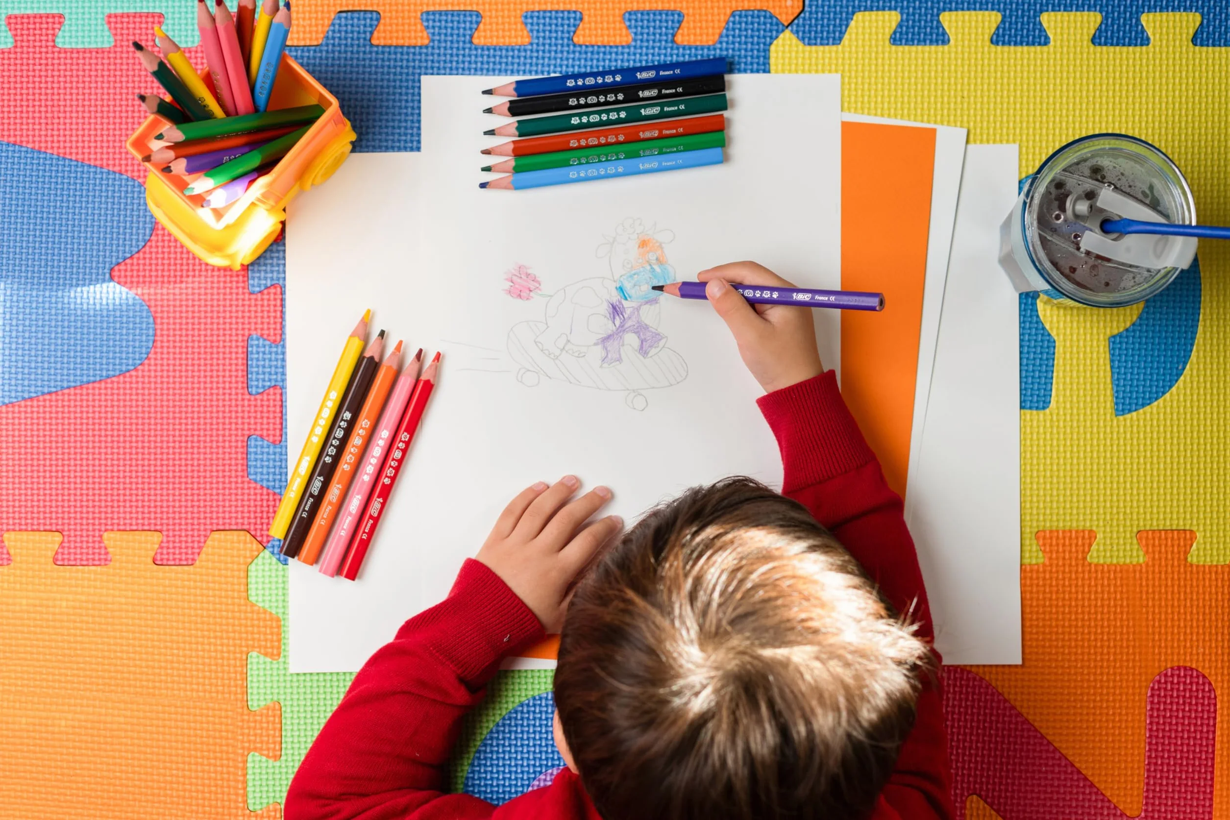 BIC Kids Evolution Triangle ECOlutions Crayons de Couleurs Triangulaires, Etui Carton de 12