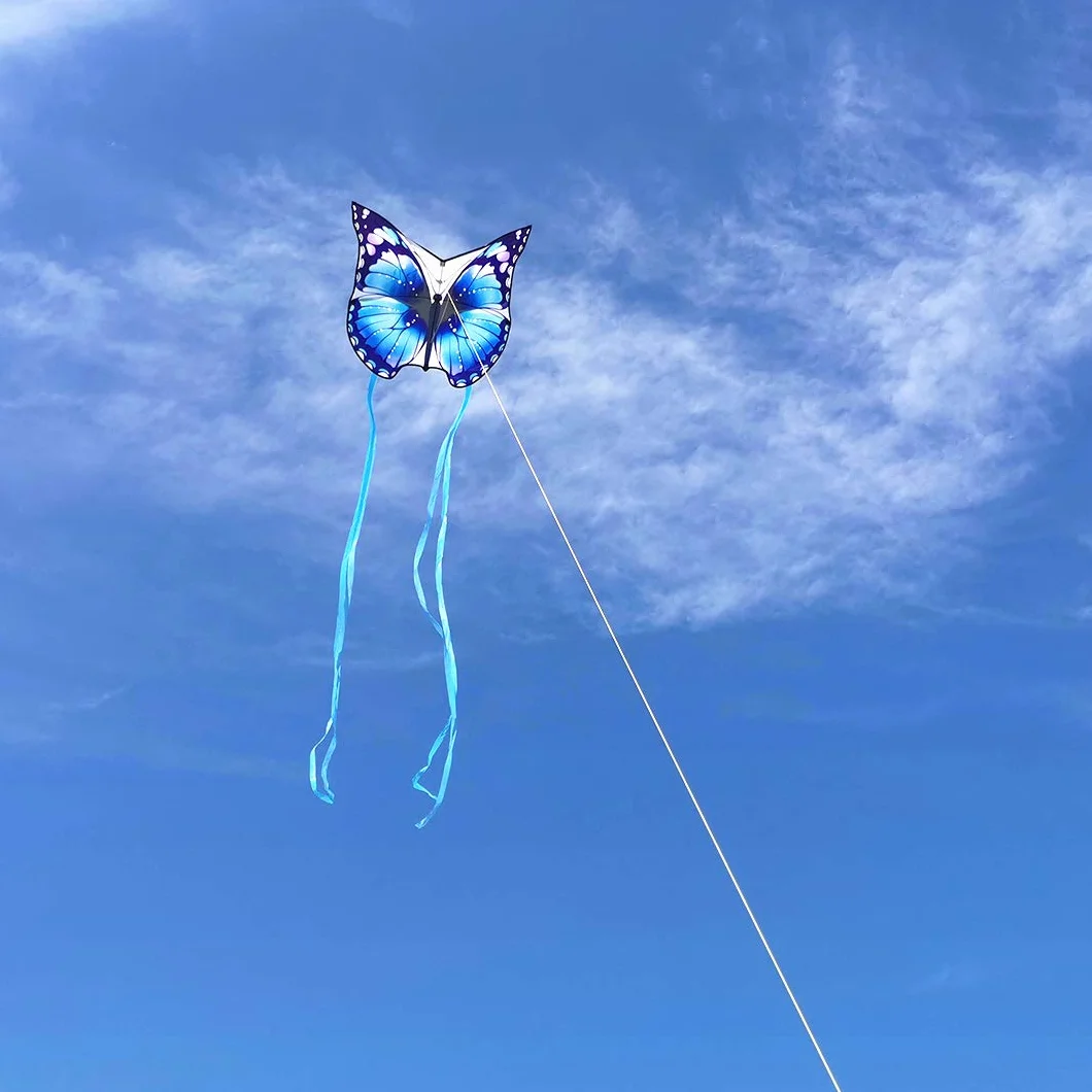 Mint's Colorful Life Cerfs-Volants Papillons Faciles à Piloter Enfants Adultes