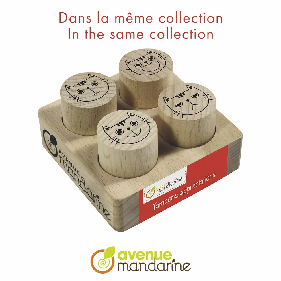 MY MANDARINE CO157C Lot de 4 tampons appréciations Encore un petit effort Tu peux mieux faire Excellent Très bien