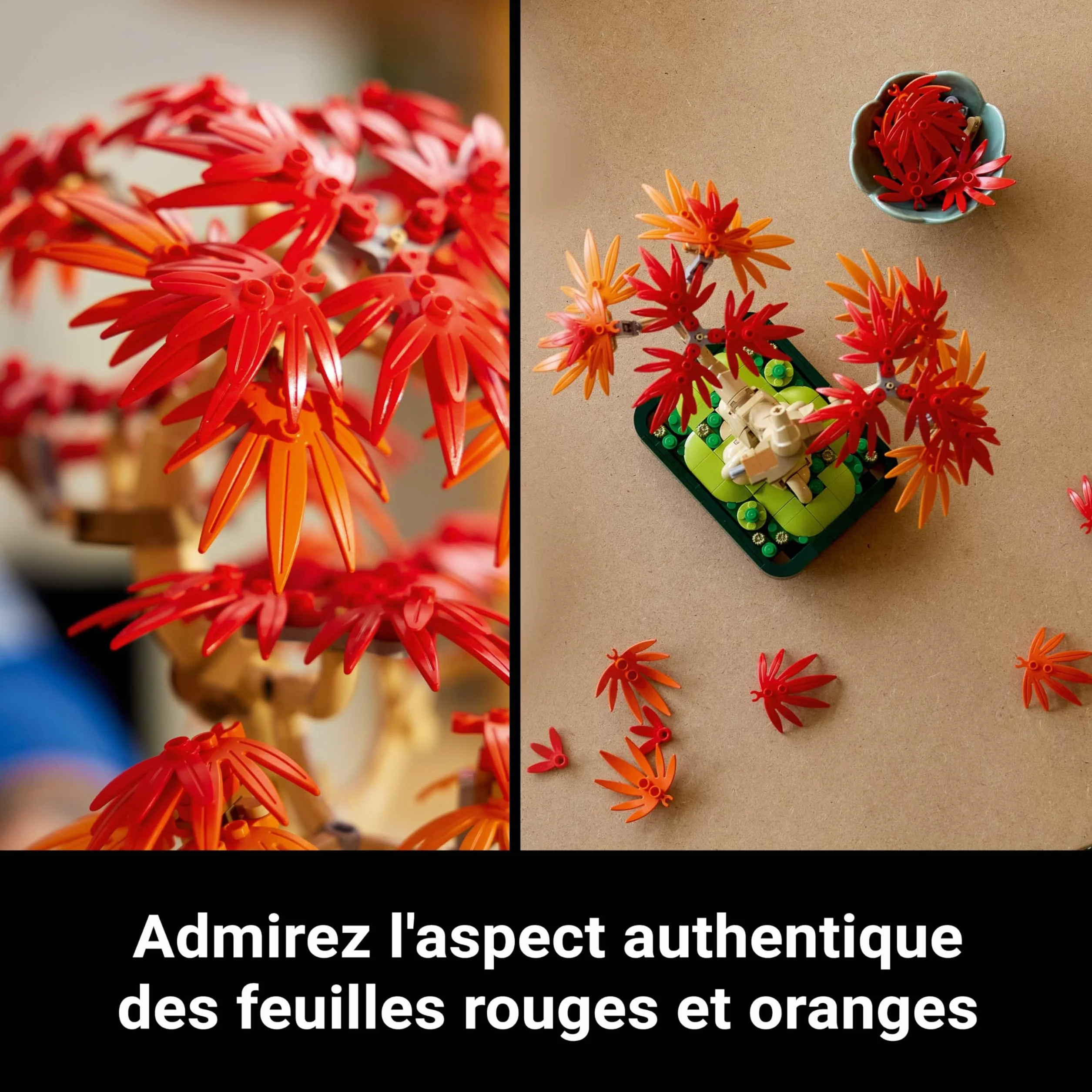 LEGO Botanicals Bonsaï d’Érable Rouge du Japon 10348 - Kit de Construction Adulte - Plante Artificielle avec Feuilles Rouges et Oranges - Pot Constructible