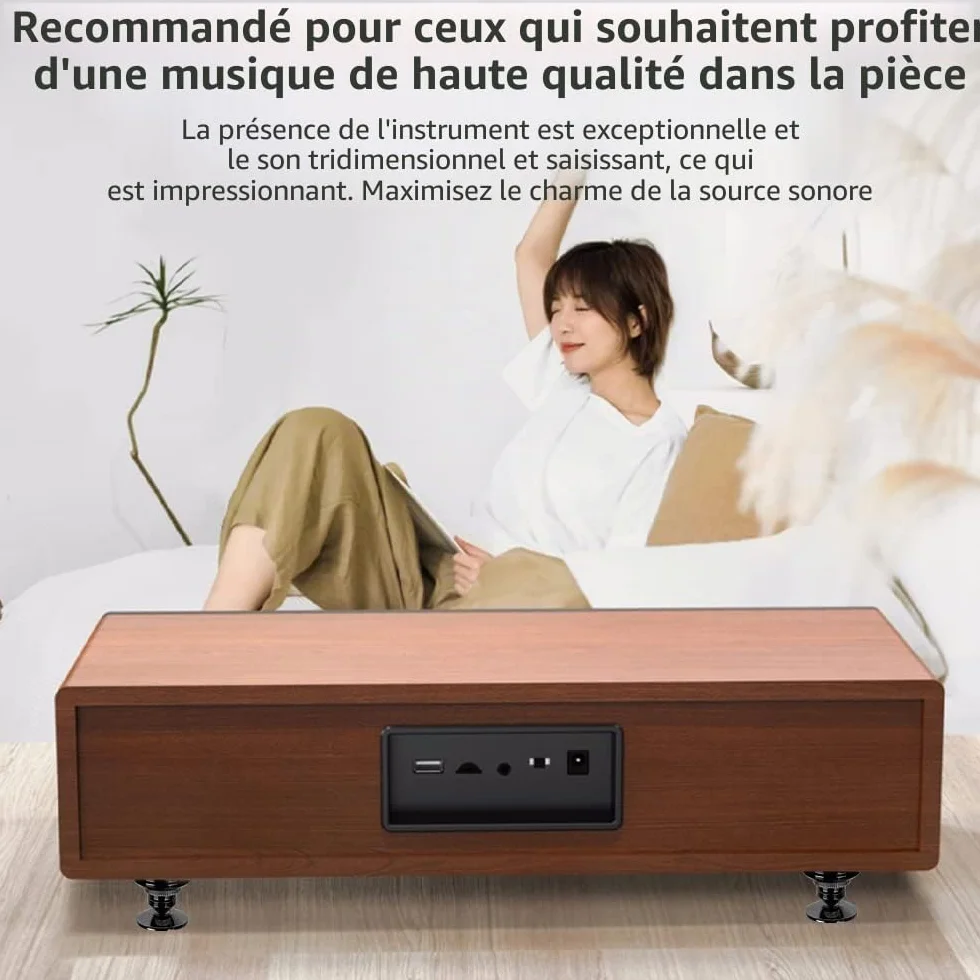 Pointes pour Enceintes Noires Anti-Vibrations Hi-Fi 8 pièces