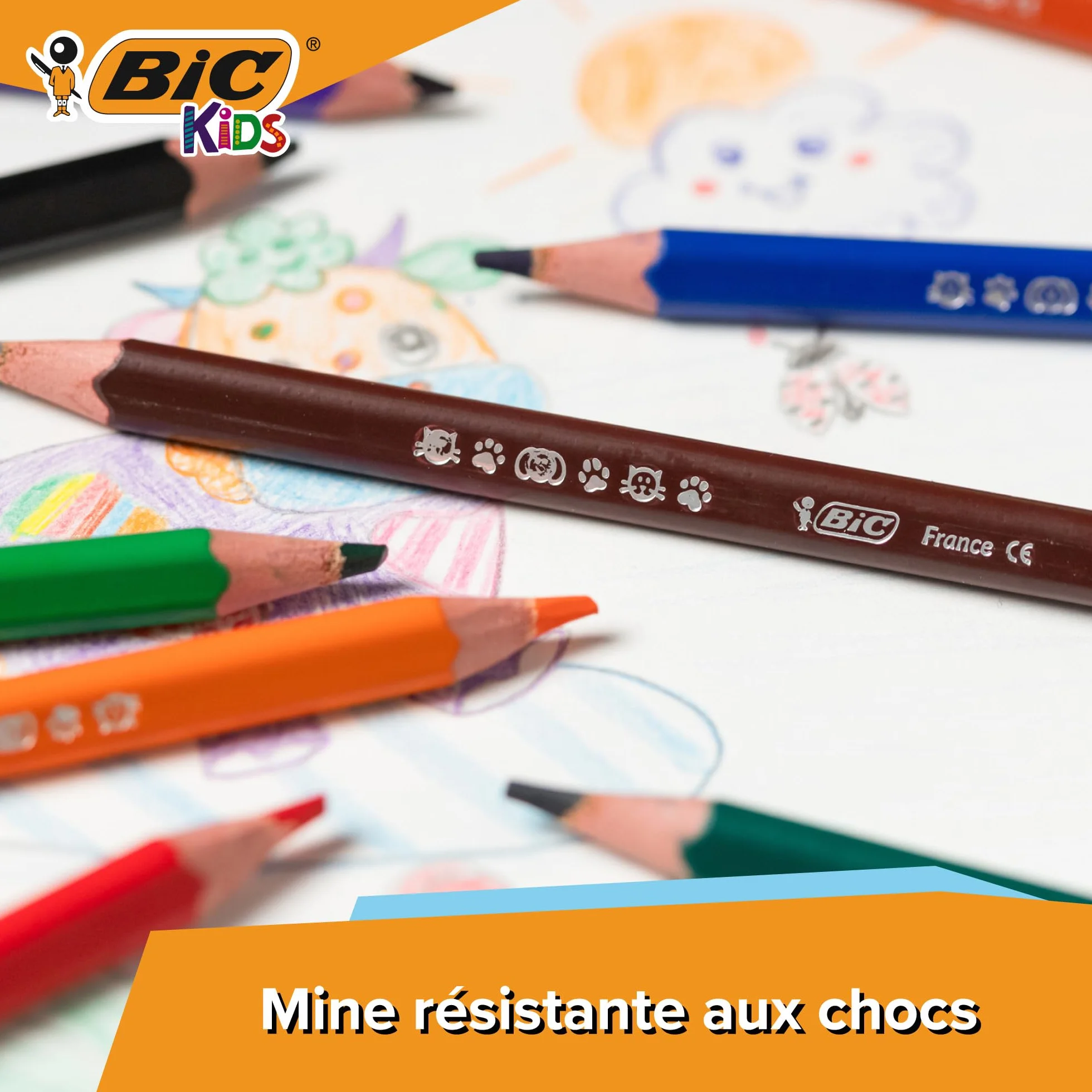 BIC Kids Evolution Triangle ECOlutions Crayons de Couleurs Triangulaires, Etui Carton de 12