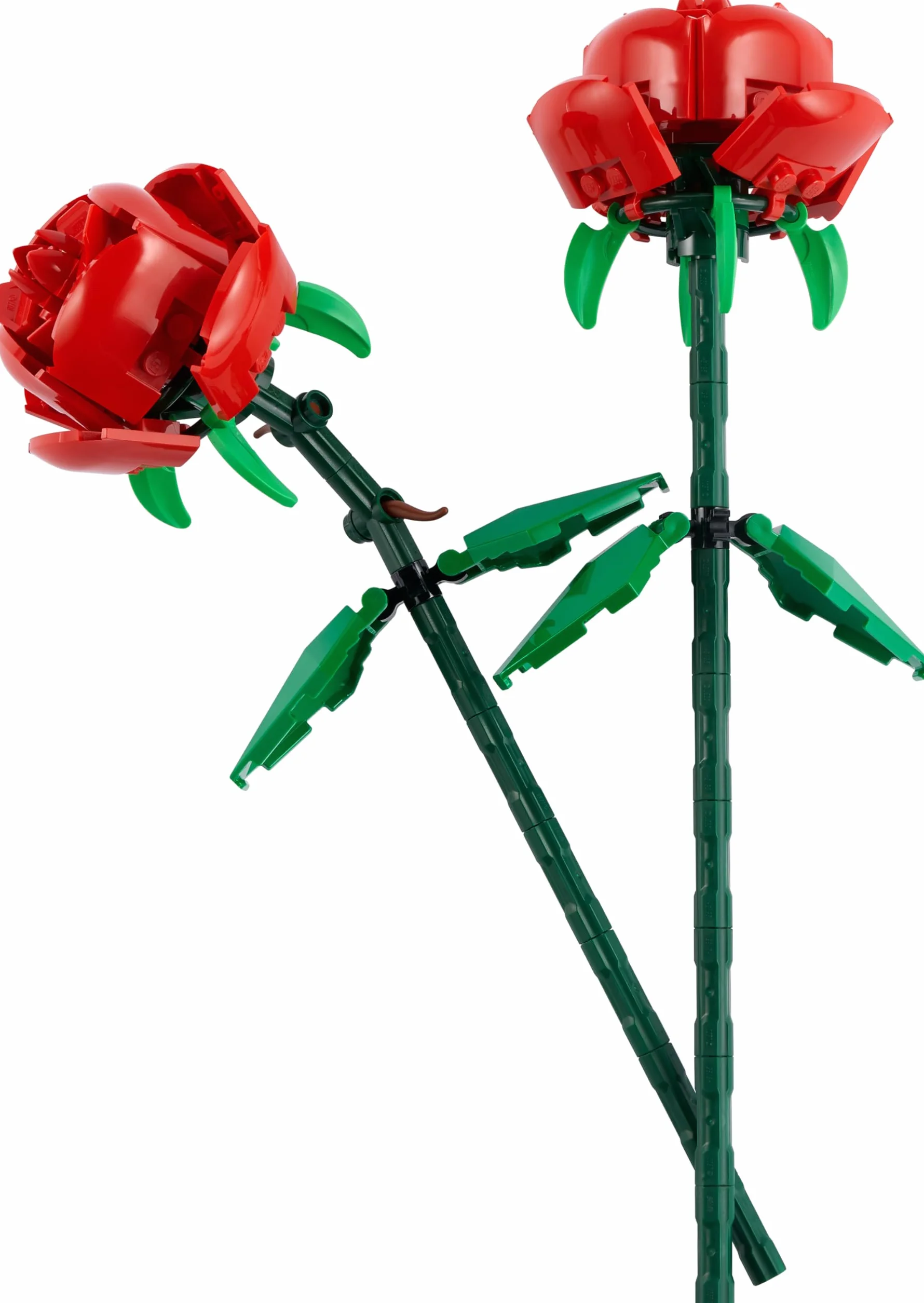 LEGO Botanicals Les Roses 40460 Jeu de Construction Fleurs Artificielles Décoration Florale Maison Bureau