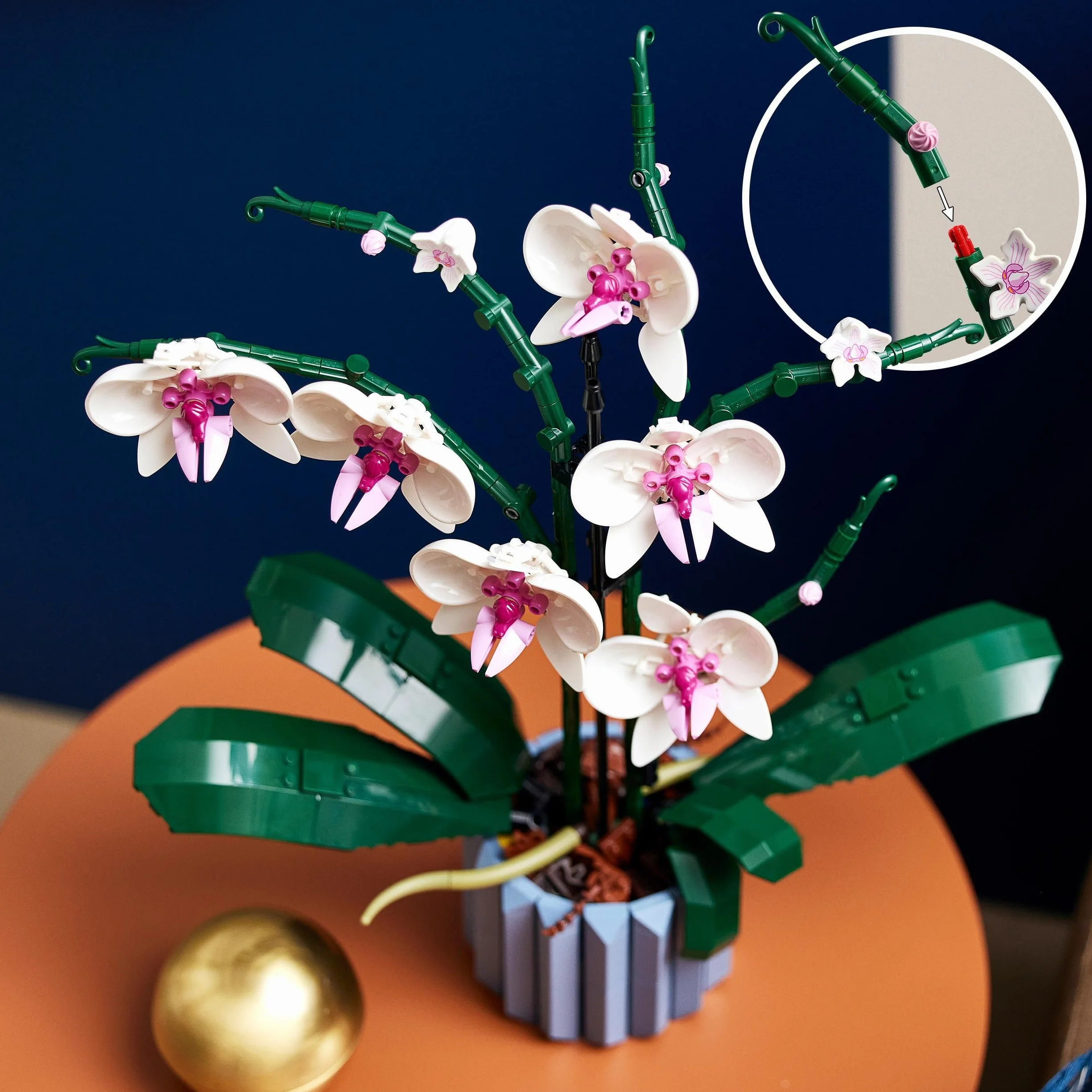 LEGO Botanicals L’Orchidée 10311 Plantes Artificielles d'Intérieur Décoration Maison Loisirs Créatifs Adulte