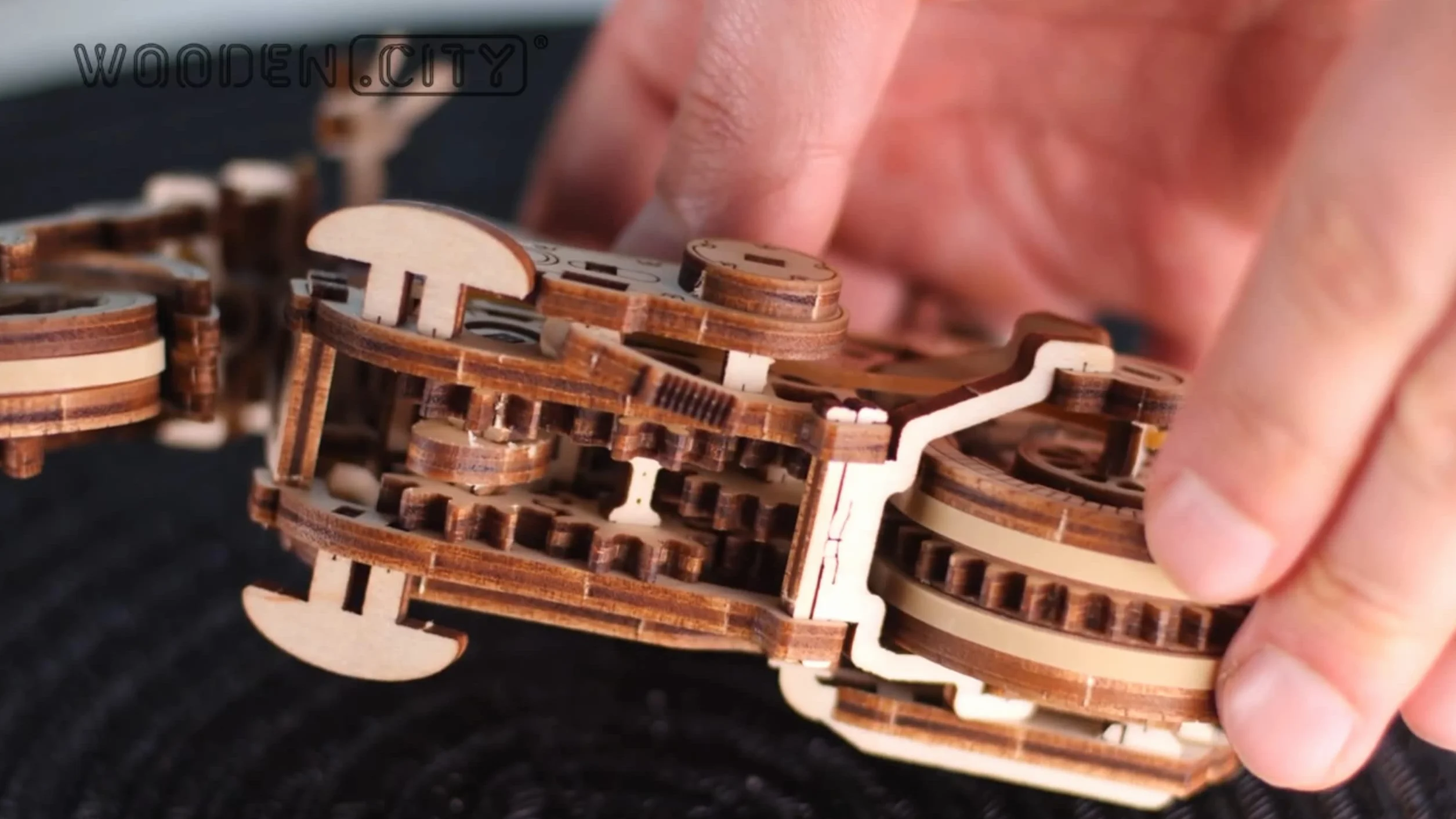 Puzzle 3D en Bois Cruiser V-Twin, Maquette Moto à Construire pour Adulte, Casse-Tête, Décoration