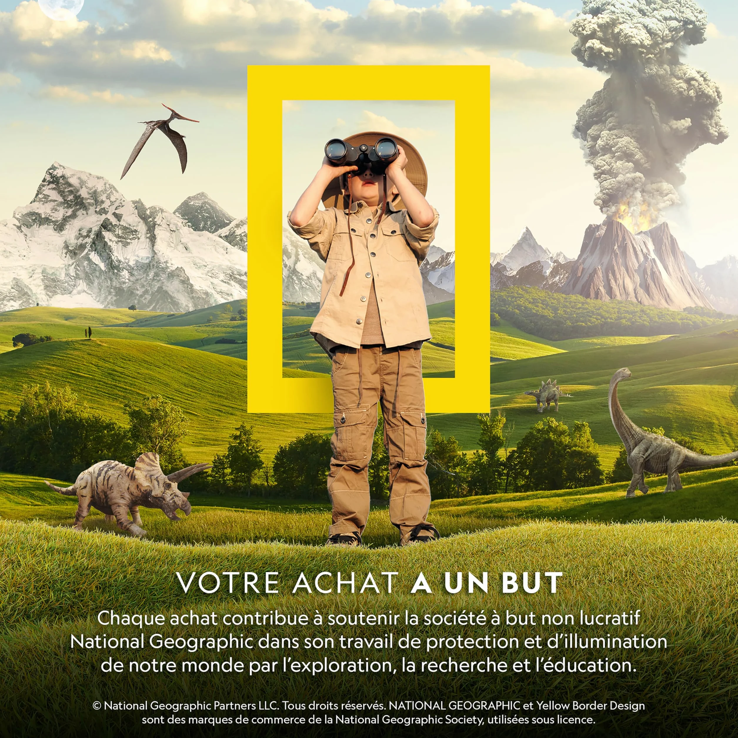 National Geographic Polisseuse de Pierres Recharge 453g Gemmes Minéraux Bruts Améthyste Quartz Kit Polissage Accessoires Bijoux