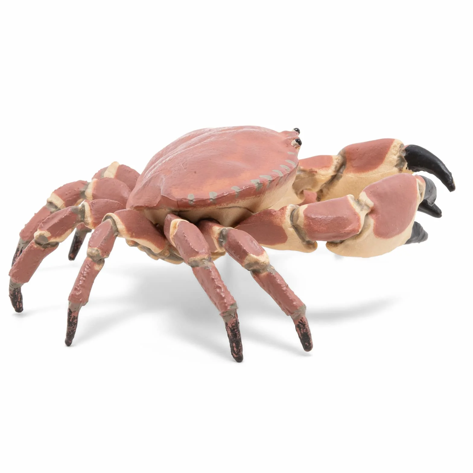 Papo Figurine Crabe Marin Réaliste Jouet Enfant 3 ans+ Univers Marin Jeu éducatif 8 cm