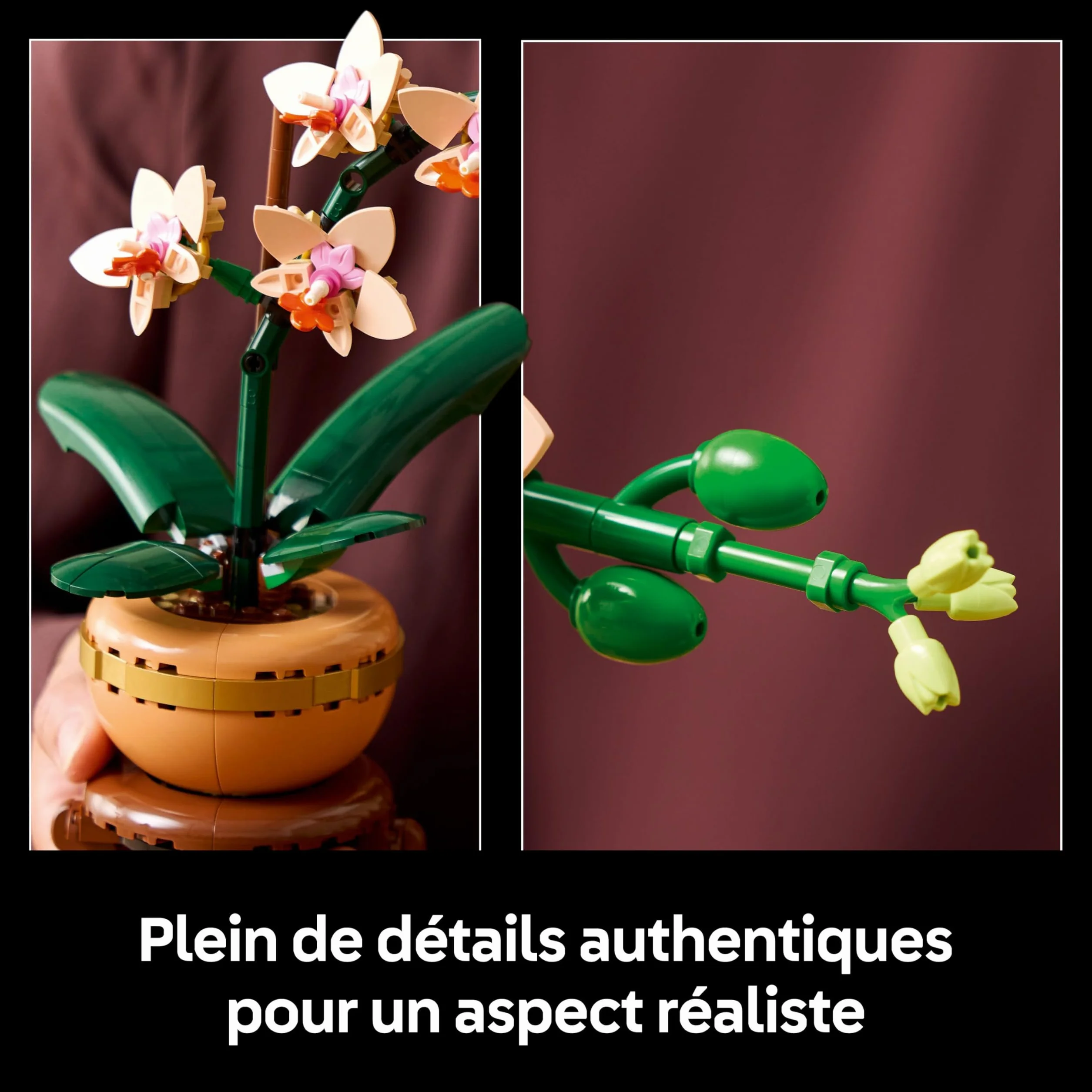 LEGO Botanicals L’Orchidée Miniature 10343 Fleurs Artificielles pour Adulte Plante avec Pot Style Terracotta Décoration Intérieure