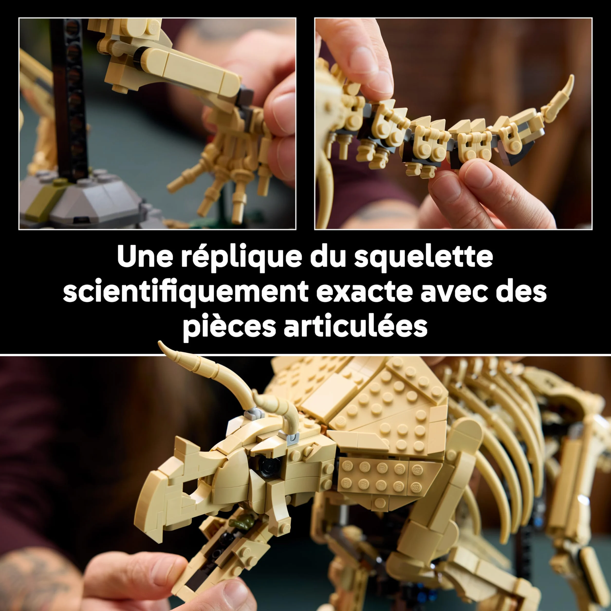 LEGO Jurassic World Les Fossiles de Dinosaure : Le Tricératops Maquette pour Adulte Minifigurine Dr Gerry Harding 77985