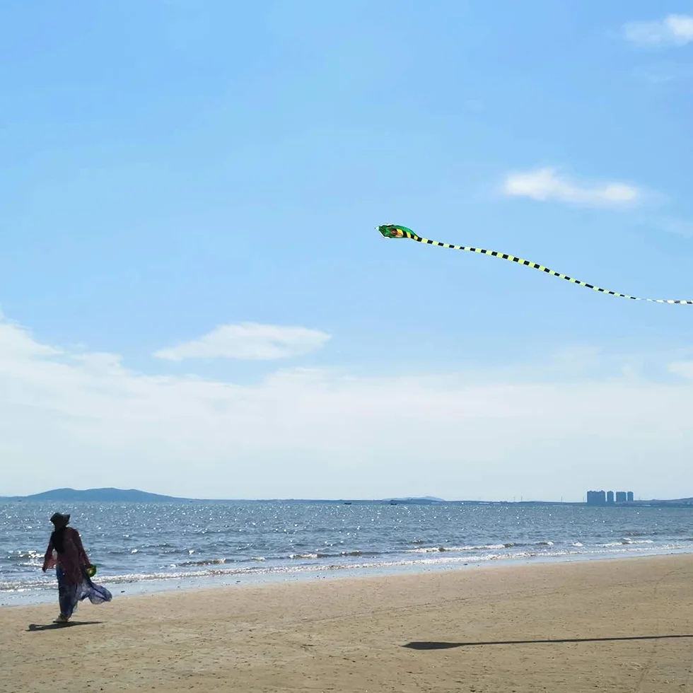 Cerf-Volant Enfants et Adultes Cobra Sport Plage, Ligne et Poignée Inclus
