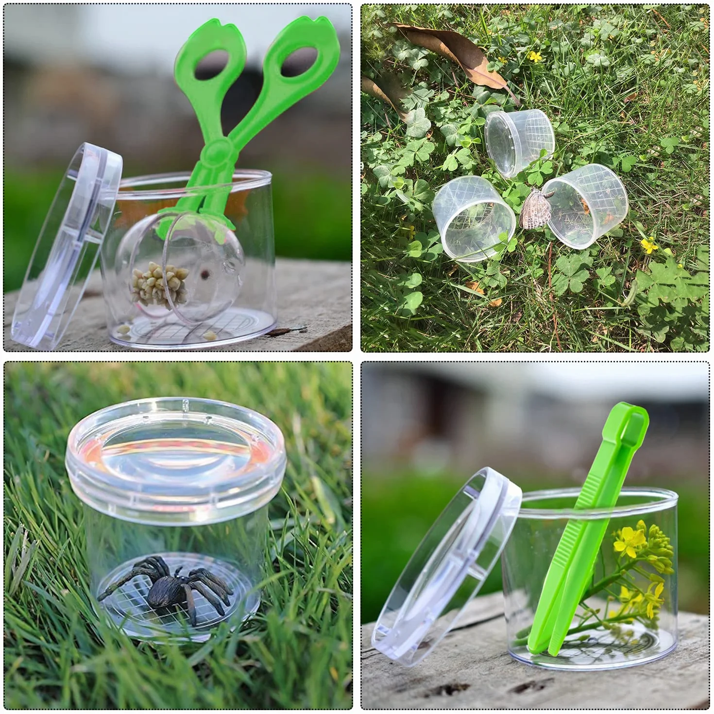 Lot de 12 loupes pour enfants - Kit de recherche biologie insectes