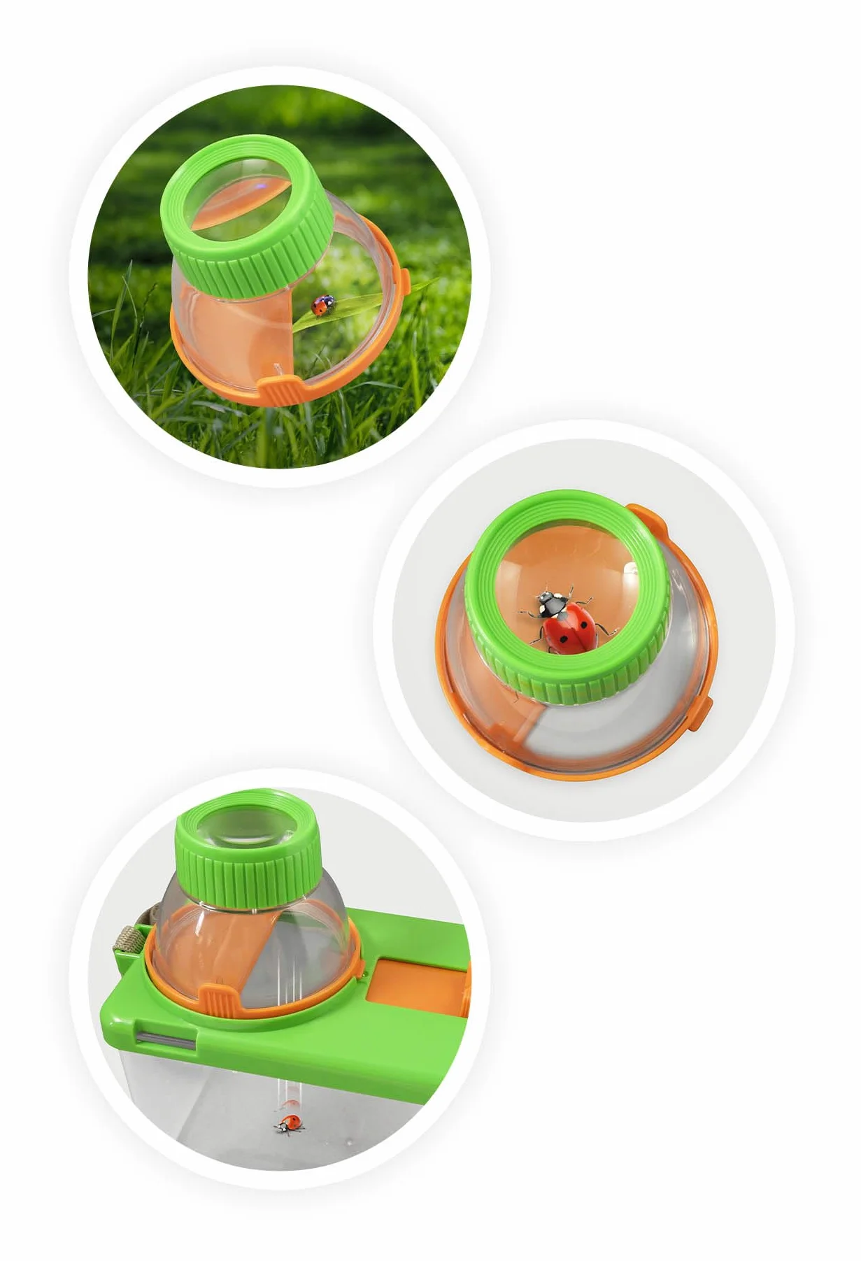 Buki BL034 Terrarium