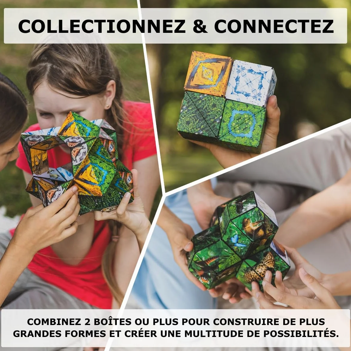 Shashibo Cube Transformable Antistress 36 Aimants Rares Thème Terre 100 Formes Savannah