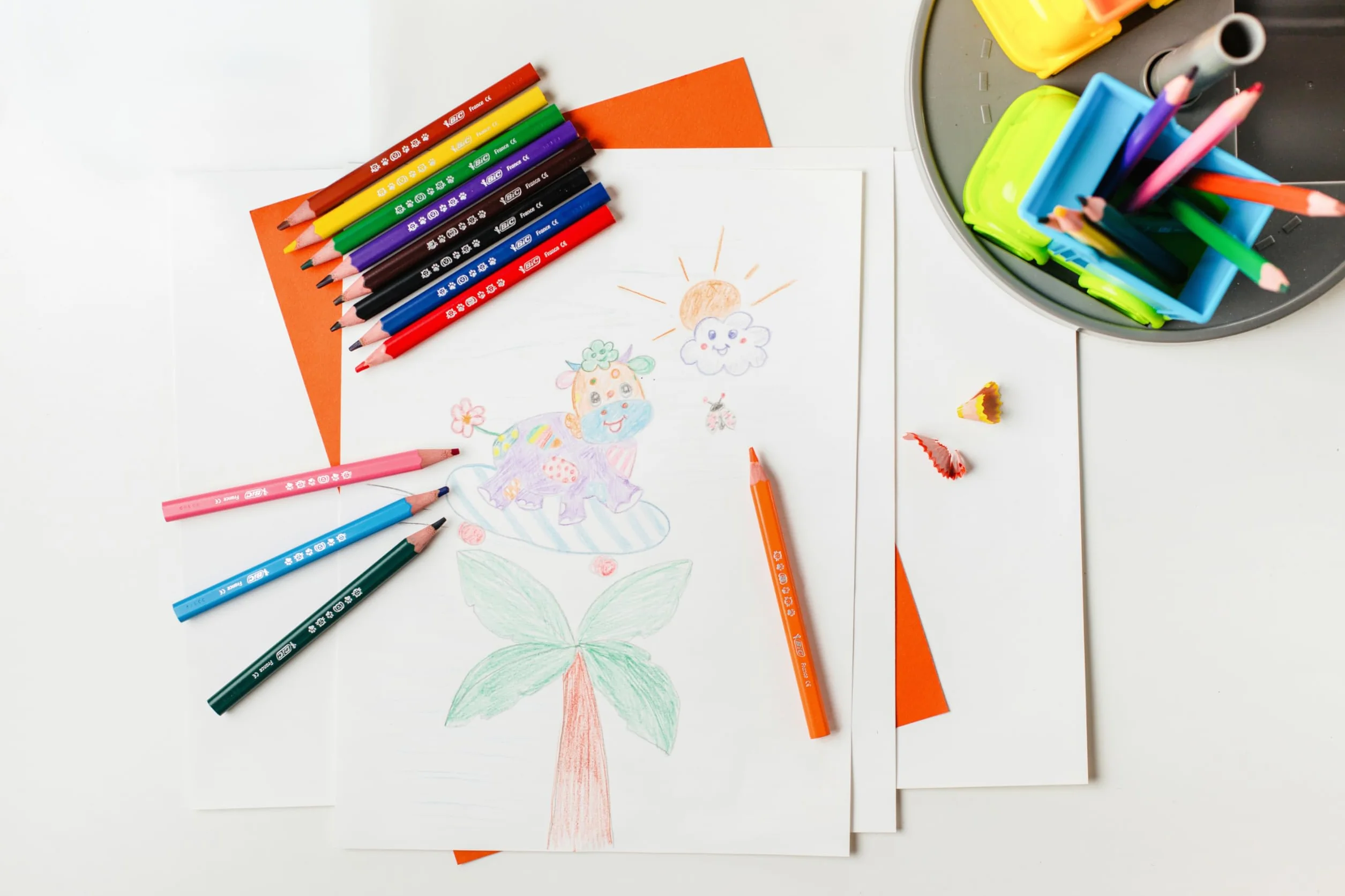 BIC Kids Evolution Triangle ECOlutions Crayons de Couleurs Triangulaires, Etui Carton de 12