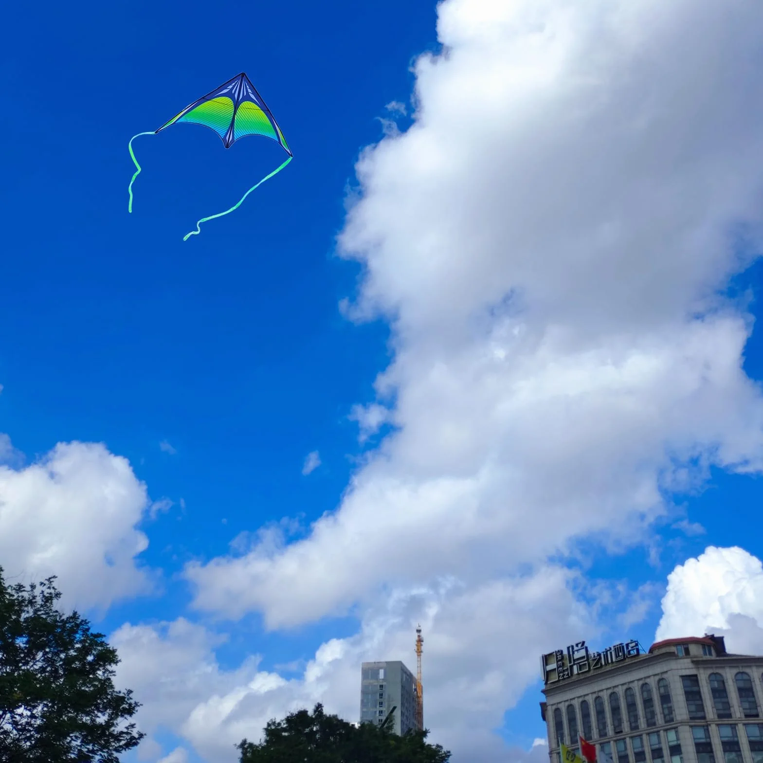 Cerf-volant Delta arc-en-ciel pour enfants et adultes, ligne 91,4 m