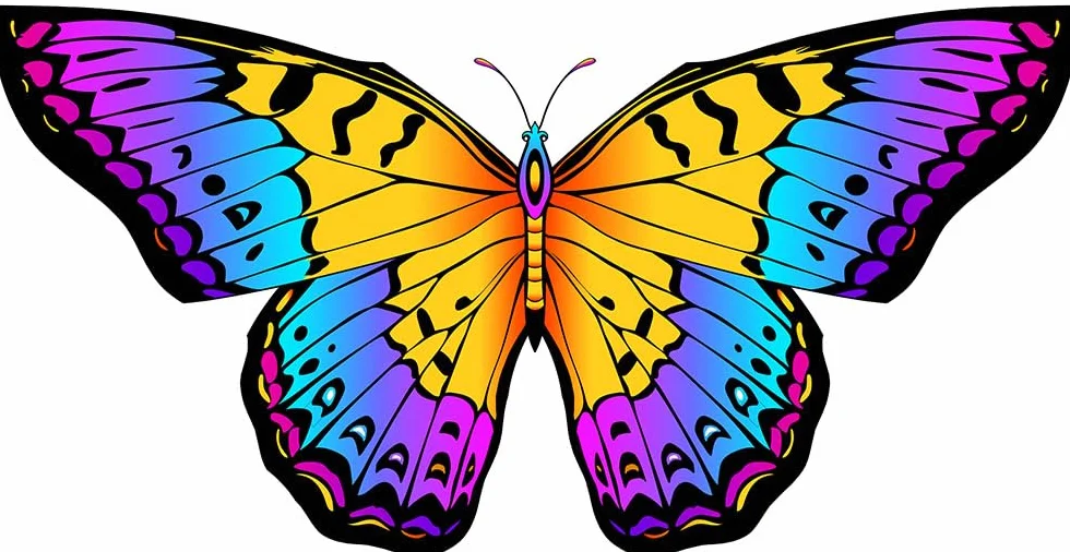 HONBO Cerf-volant papillon 139,7 x 71,1 cm pour enfants débutants avec poignée