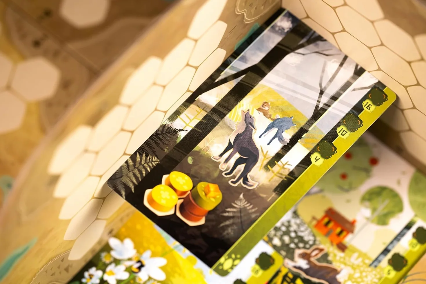 Asmodee Harmonies Jeu de Société Enfants dès 10 Ans Création de Paysages et Habitats pour Animaux Stratégie Version Française