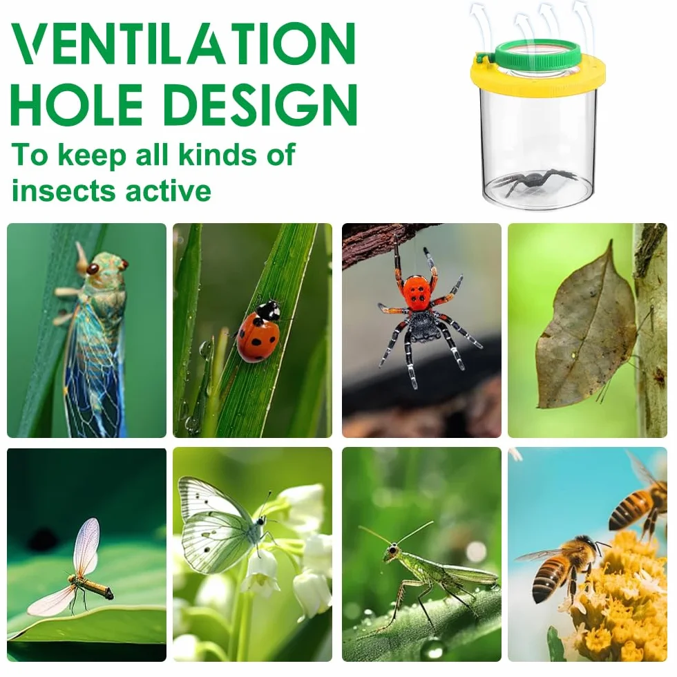 Boite à Insectes pour Enfant 12 Pièces avec Loupe Attrape Insectes et Pince à Épiler