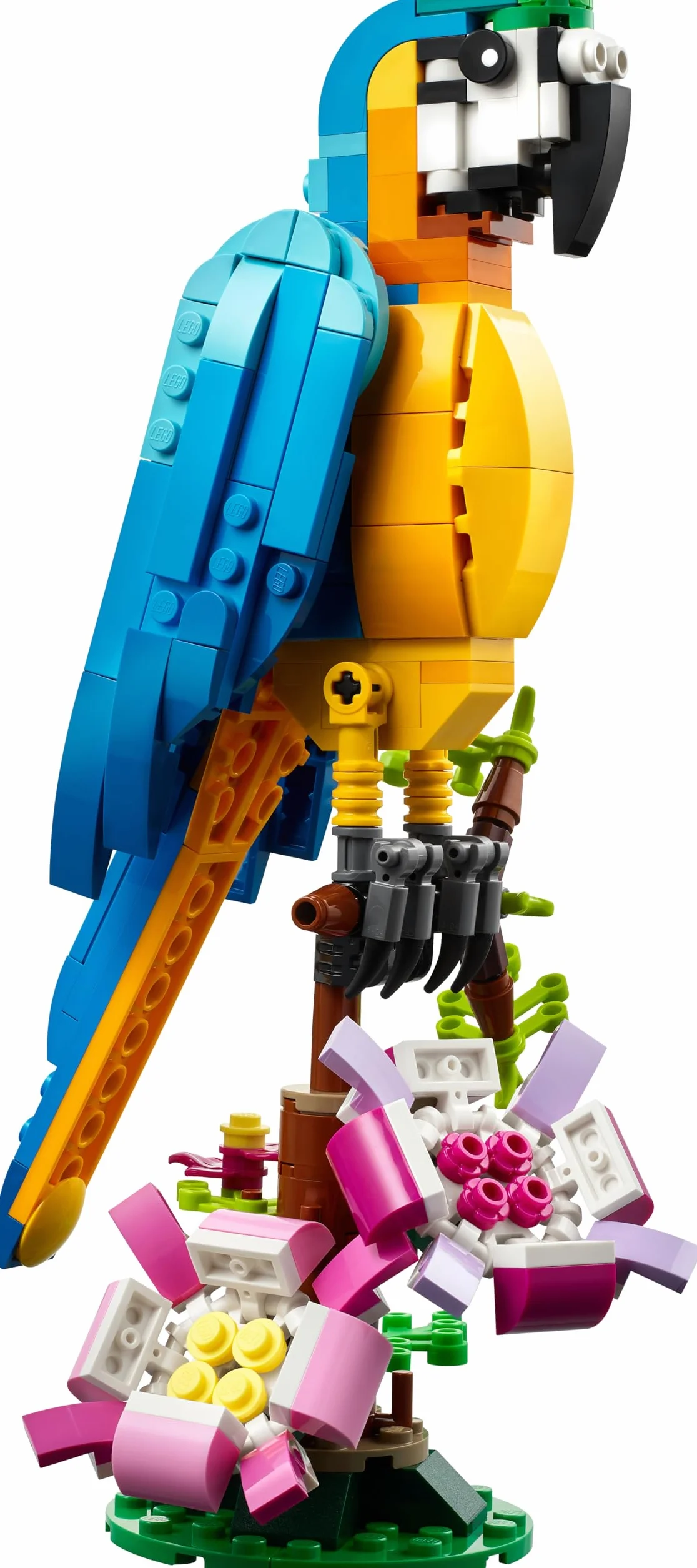 LEGO 31136 Creator 3-en-1 Le Perroquet Exotique Jouet de Construction Figurines Animaux de la Jungle