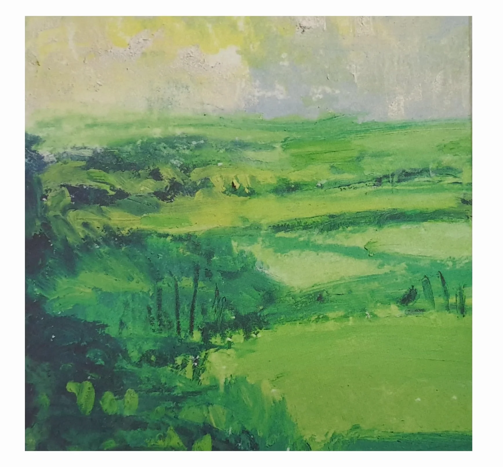 Sennelier Oil Sticks 12 Mini pcs Paysage et estompe