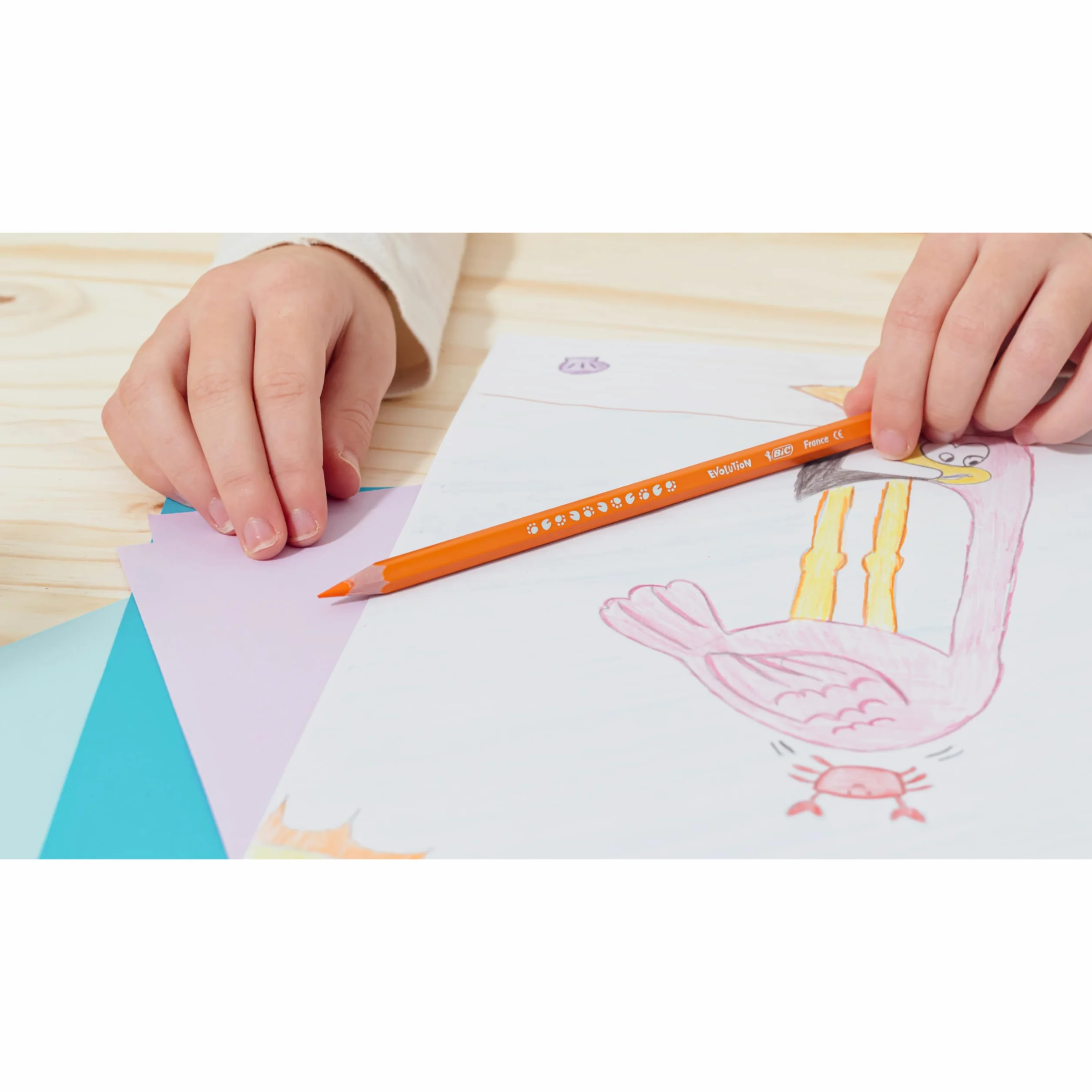 BIC Kids Evolution ECOlutions Crayons de Couleur 36 Pièces