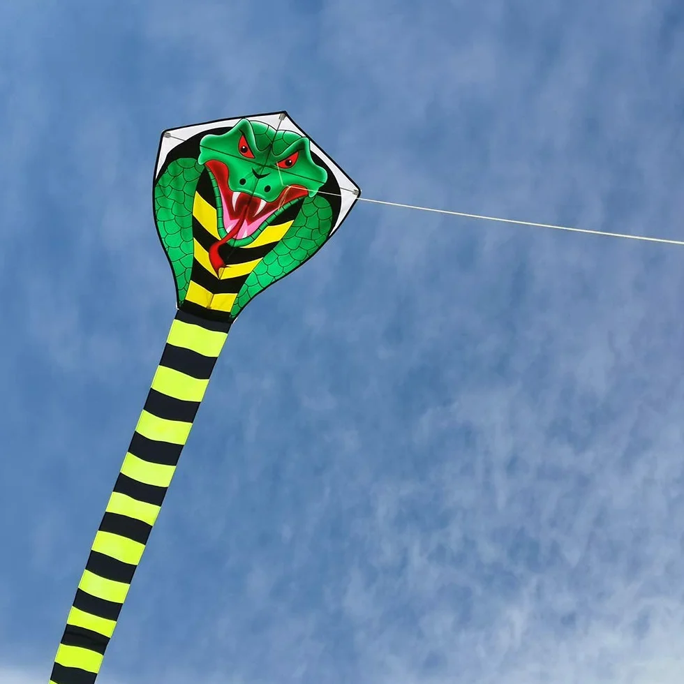 Cerf-Volant Enfants et Adultes Cobra Sport Plage, Ligne et Poignée Inclus