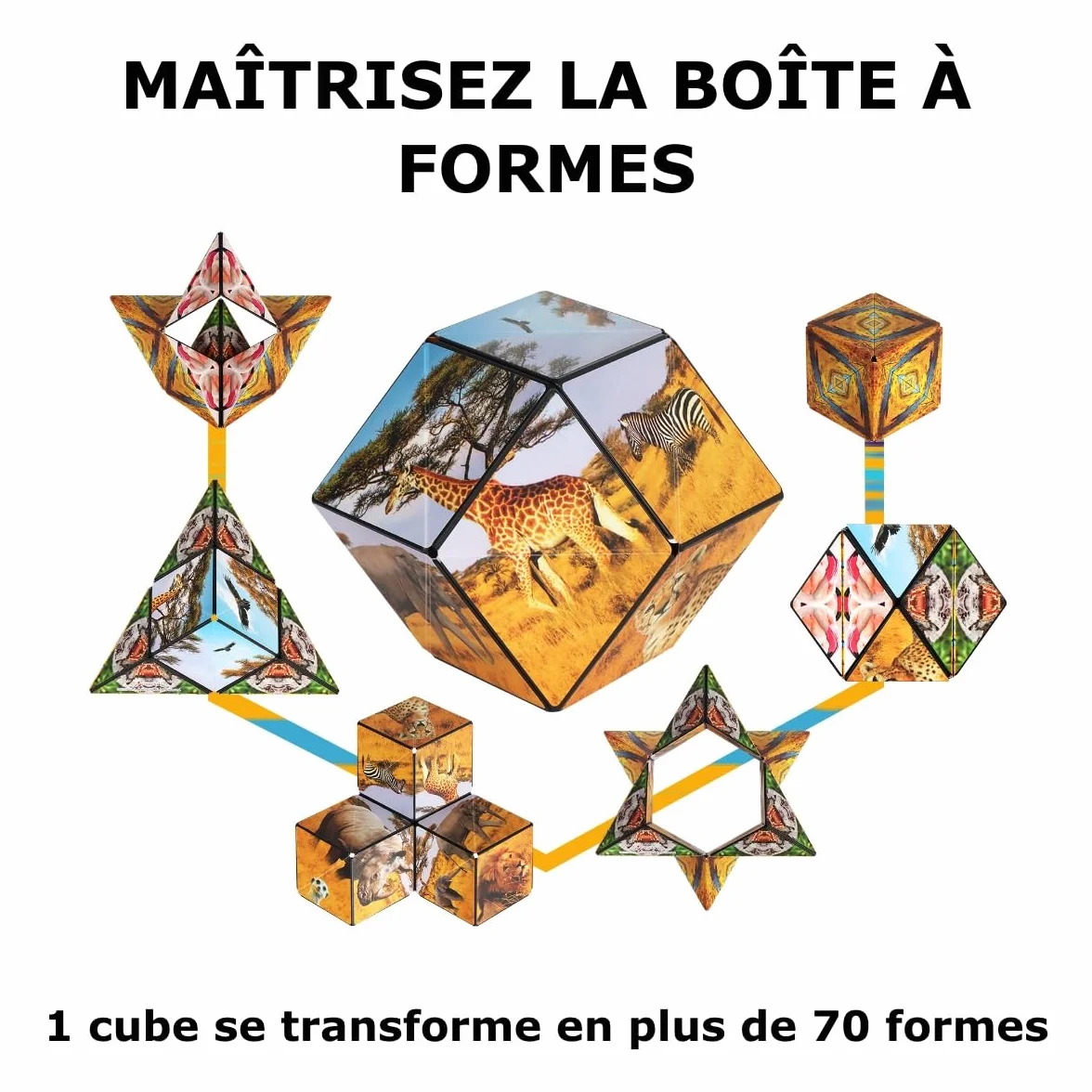 Shashibo Cube Transformable Antistress 36 Aimants Rares Thème Terre 100 Formes Savannah