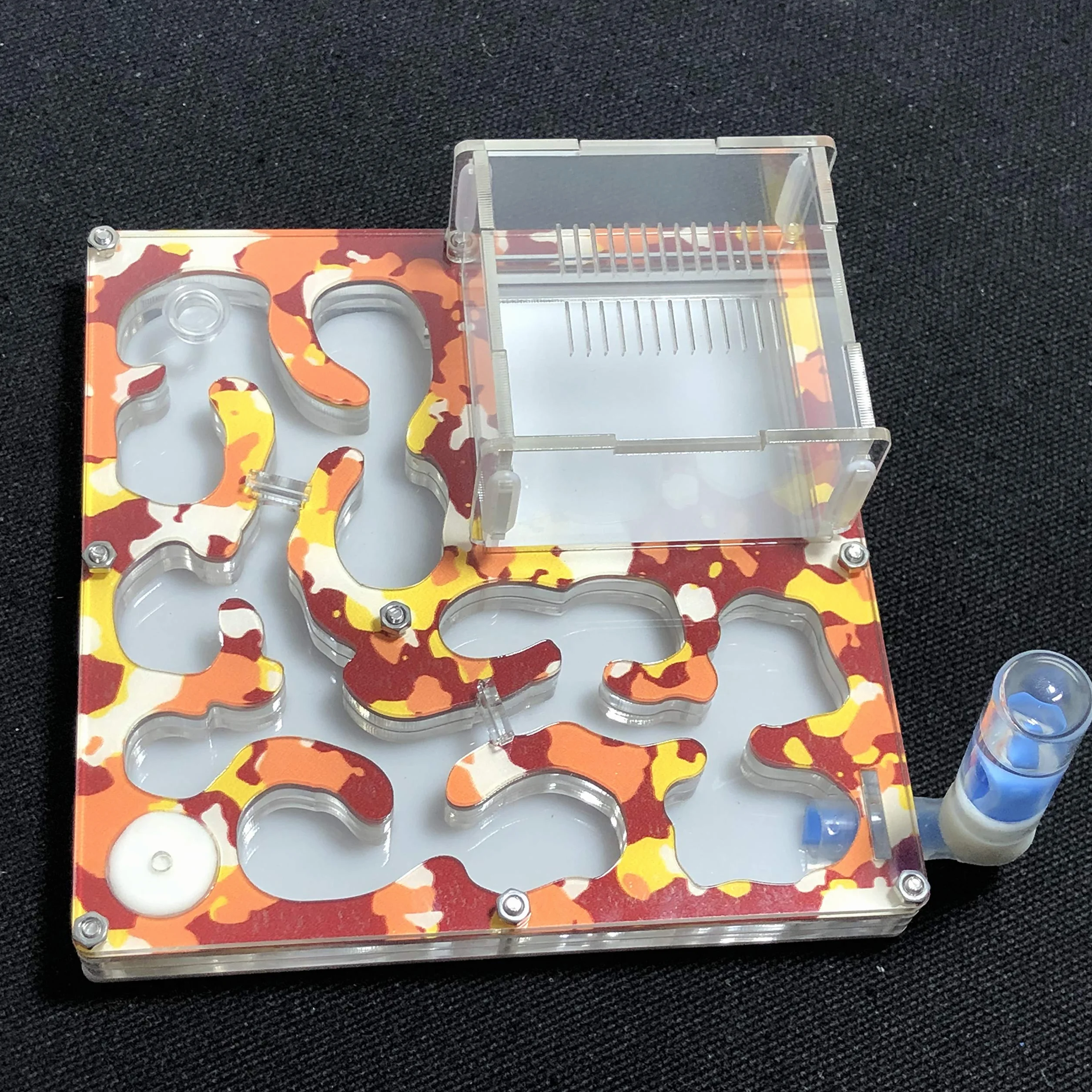 AntHouse Fourmilière Grand Espace Camouflage avec Alimentation en Eau pour Fourmis Insectes 140x140mm