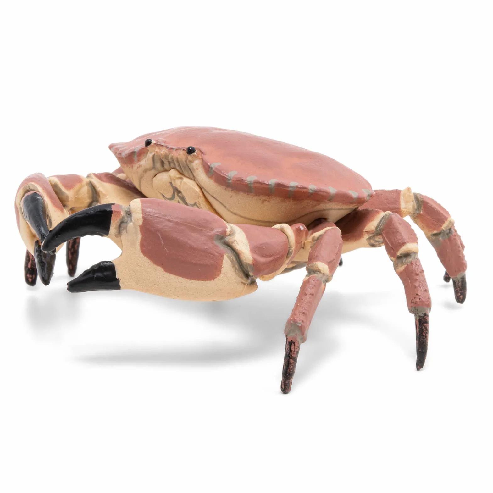 Papo Figurine Crabe Marin Réaliste Jouet Enfant 3 ans+ Univers Marin Jeu éducatif 8 cm