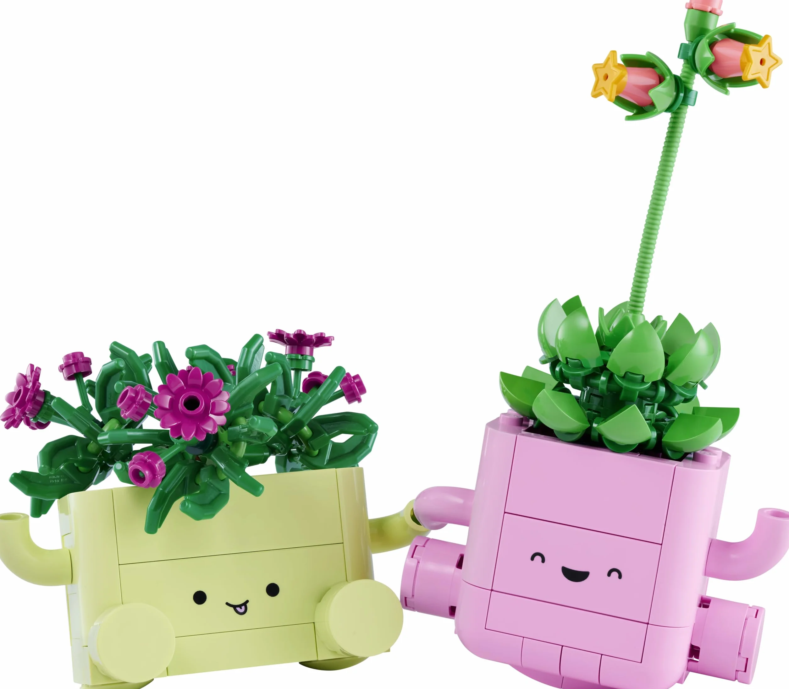LEGO Botanicals Petites Plantes Dansantes 11506 Set Fleurs Artificielles 2 Plantes 2 Pots Pastel Décoration Chambre Cadeau DIY 9 Ans Adulte