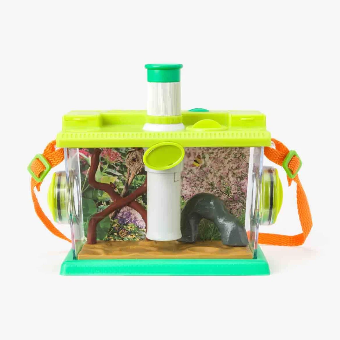 Oxybul Maison des Insectes 8-12 Ans