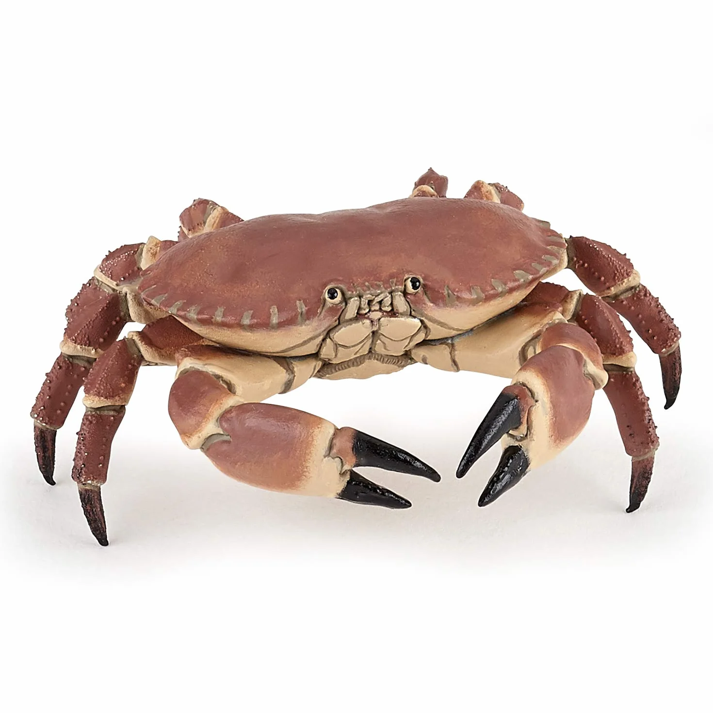 Papo Figurine Crabe Marin Réaliste Jouet Enfant 3 ans+ Univers Marin Jeu éducatif 8 cm