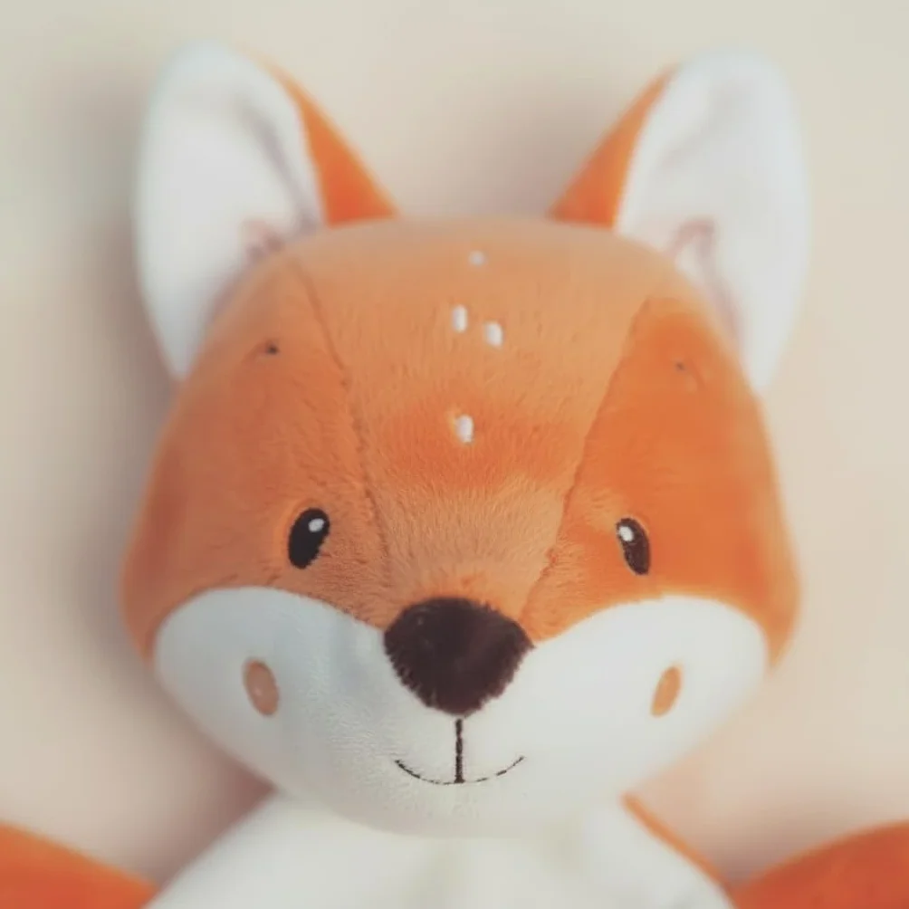 Les César Le Renard 30 cm Doudou Brodé Prénom Cadeau Naissance Bébé