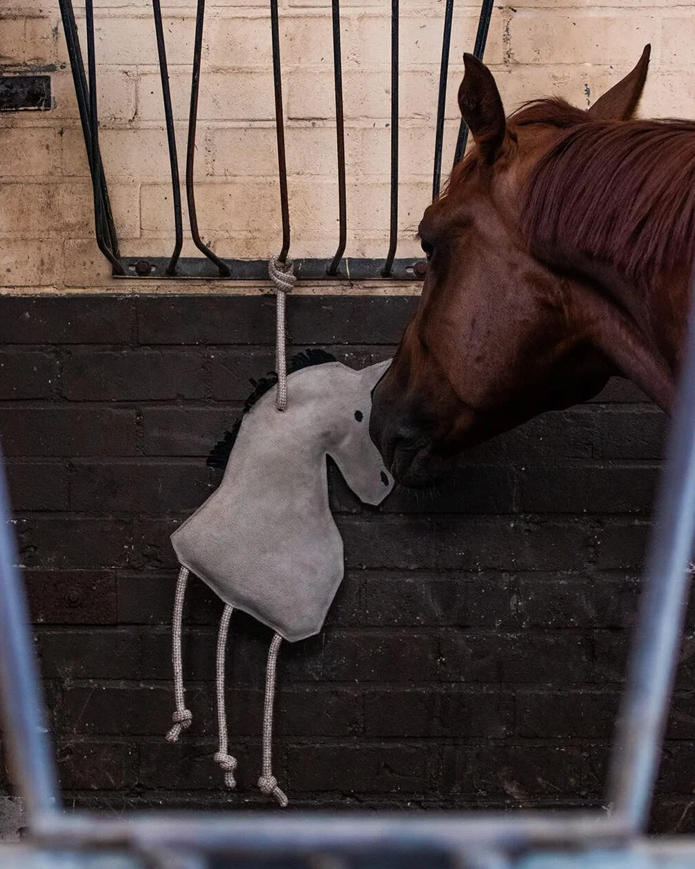 QHP Jouet pour chevaux Relax toy Pony
