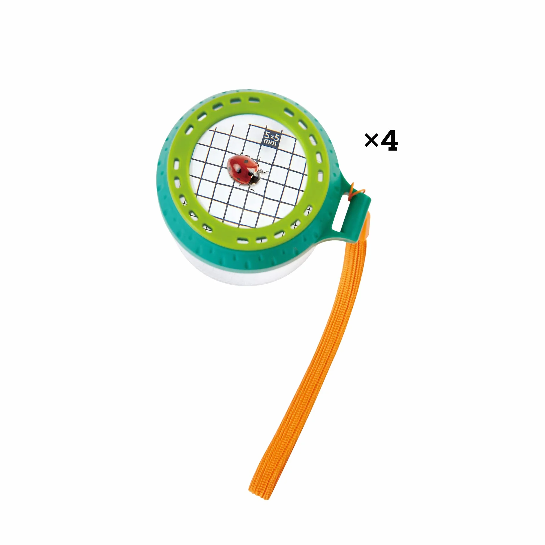 Hape Boîte à Insectes pour Enfants avec Loupe - Pot en Plastique Végétal, Loupe x4, 5+ Ans, Kit Exploration Nature