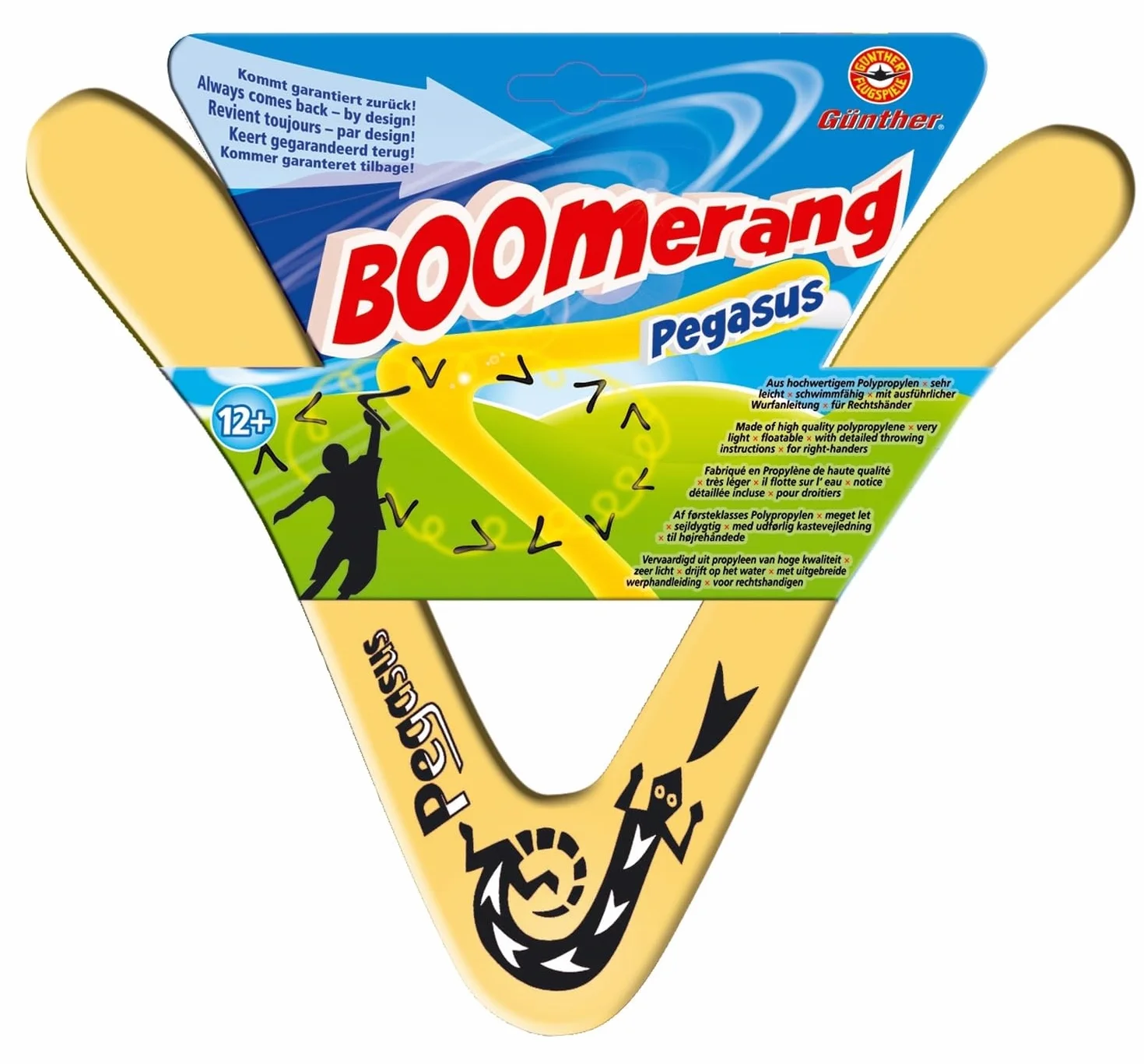 Paul Günther 1374 Boomerang Pegasus B Forme Classique 25 cm Polypropylène Incassable 18-20 m