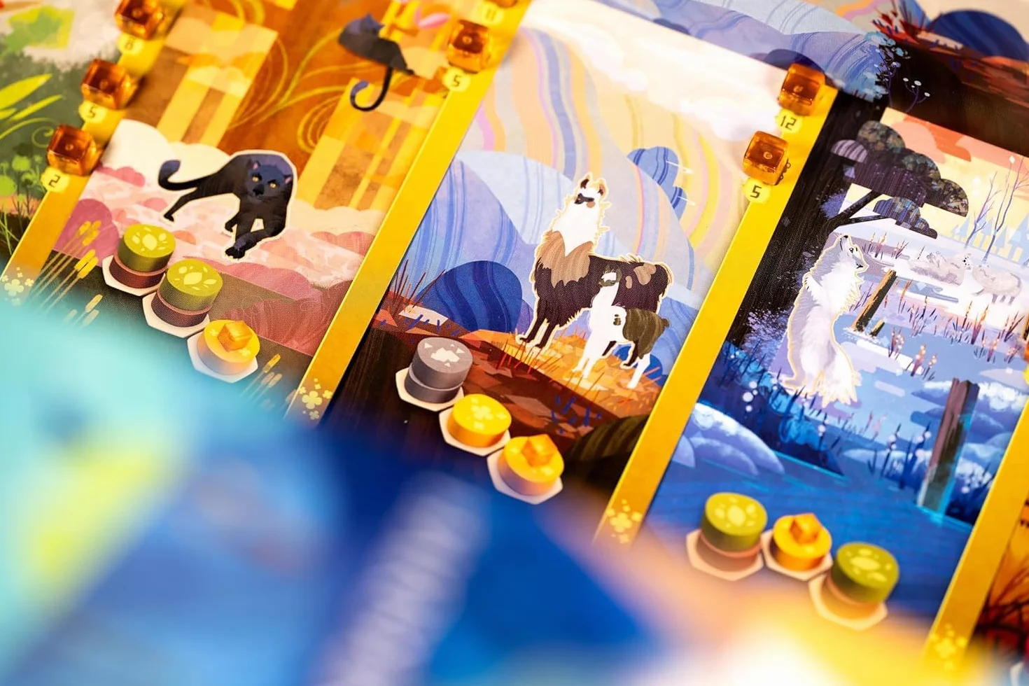 Asmodee Harmonies Jeu de Société Enfants dès 10 Ans Création de Paysages et Habitats pour Animaux Stratégie Version Française