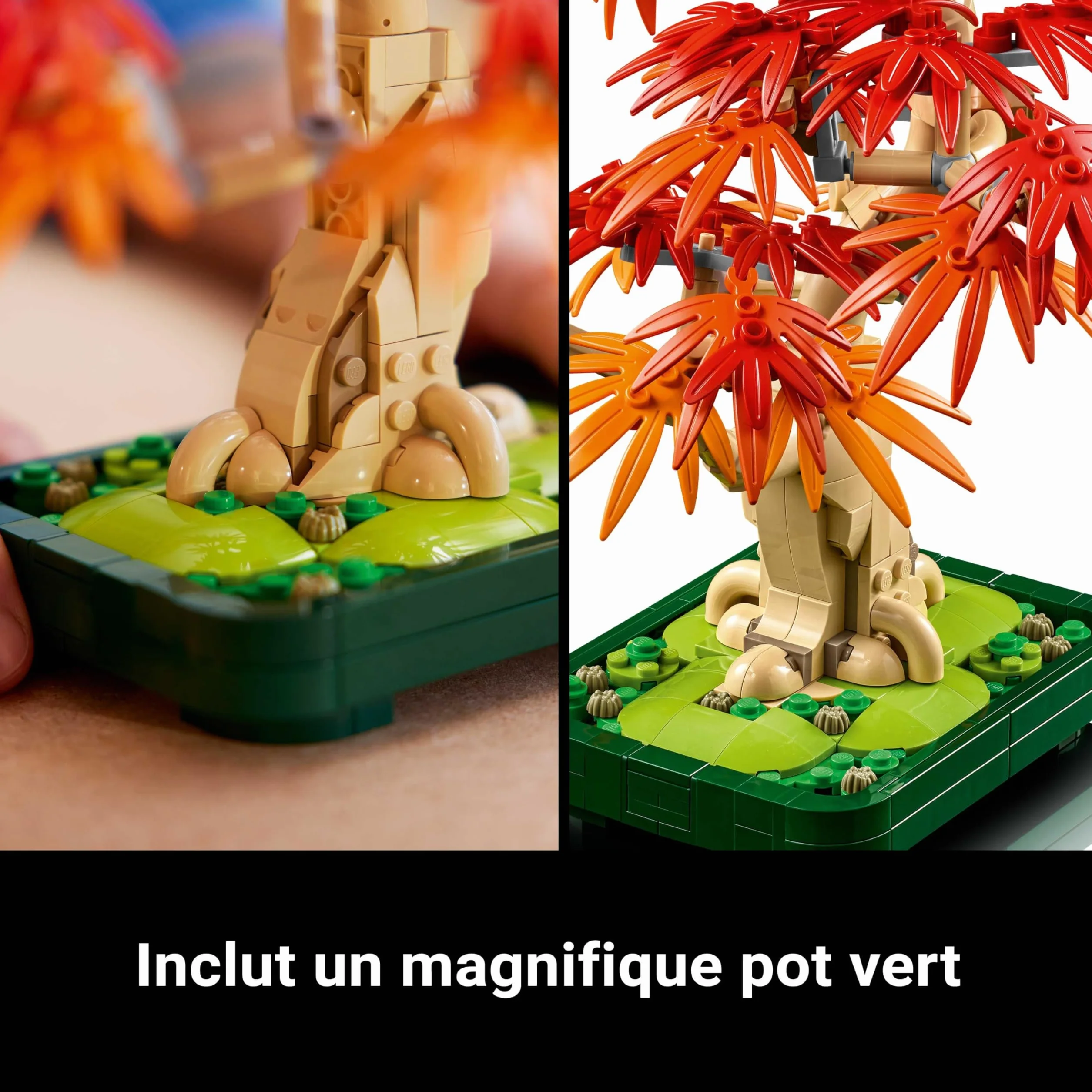 LEGO Botanicals Bonsaï d’Érable Rouge du Japon 10348 - Kit de Construction Adulte - Plante Artificielle avec Feuilles Rouges et Oranges - Pot Constructible