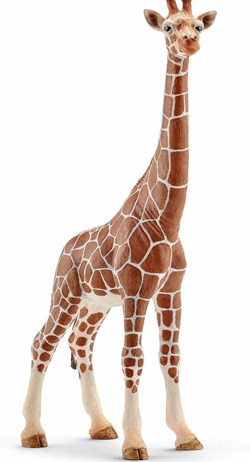 Schleich Wild Life Girafe Femelle 14750 Figurine Animale réaliste Jouet de Zoo 9 x 4 x 17 cm