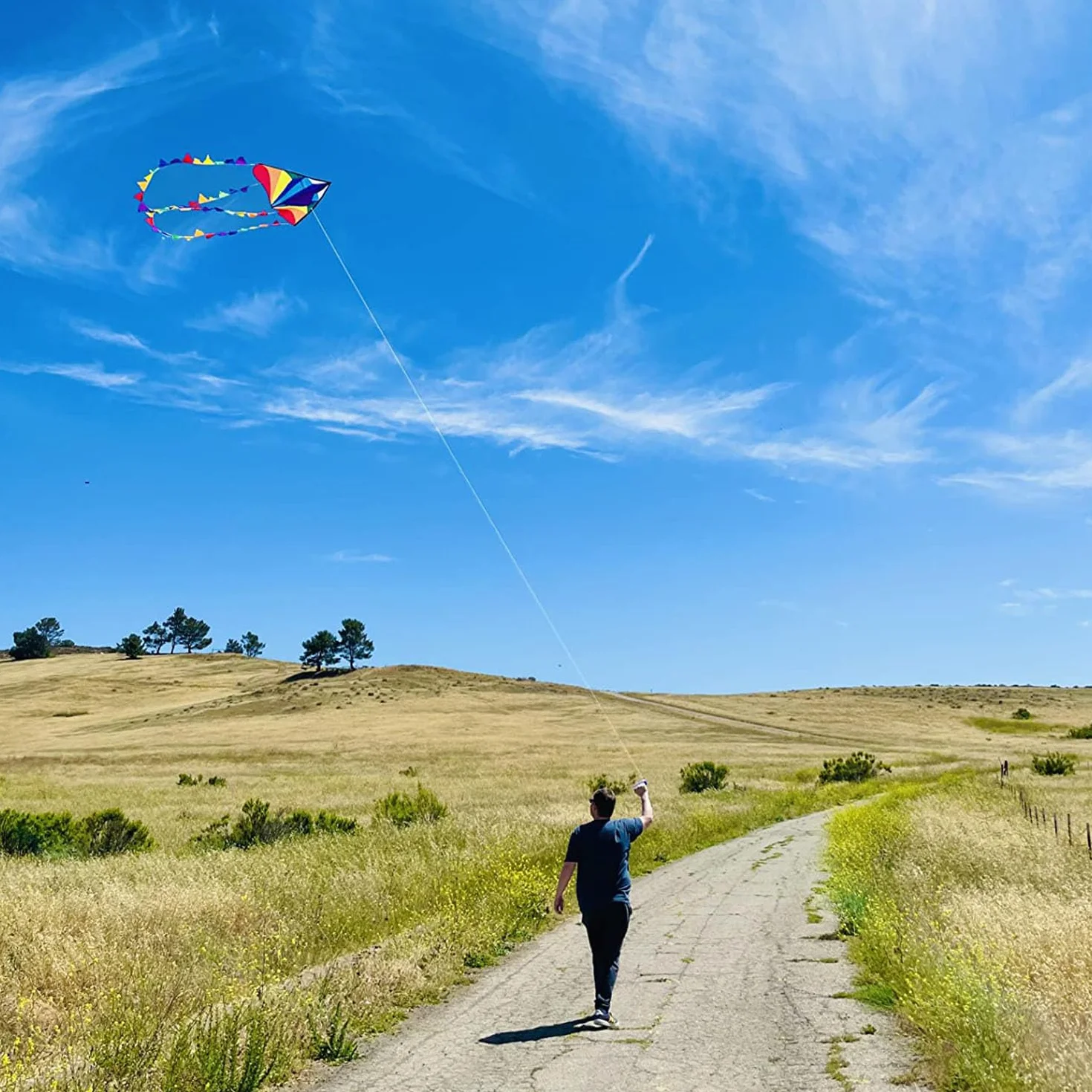 HONBO Grand cerf-volant delta pour enfants adultes débutants avec ligne et queue colorée