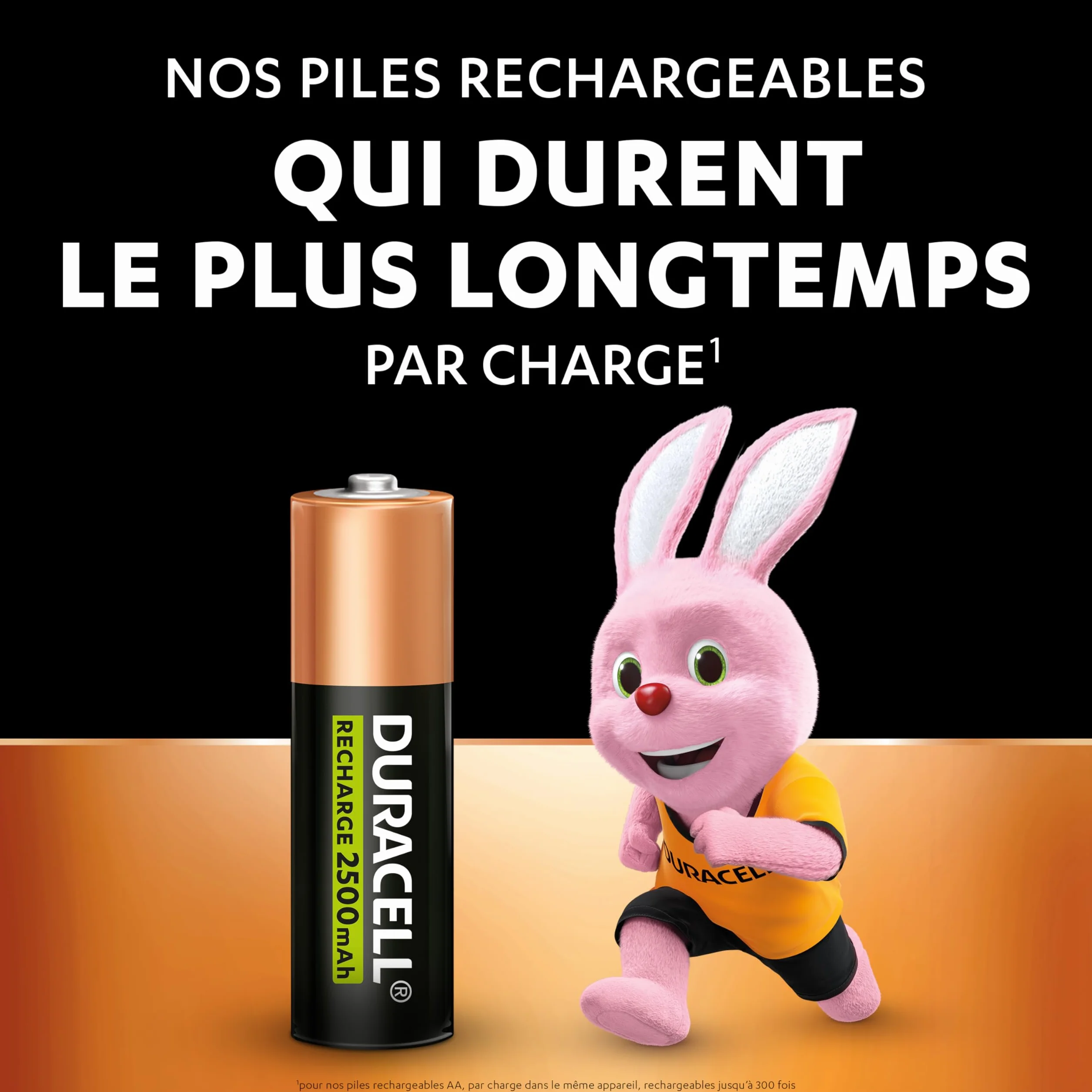 Duracell Piles AA Rechargeables 2500 mAh NiMH Lot de 8