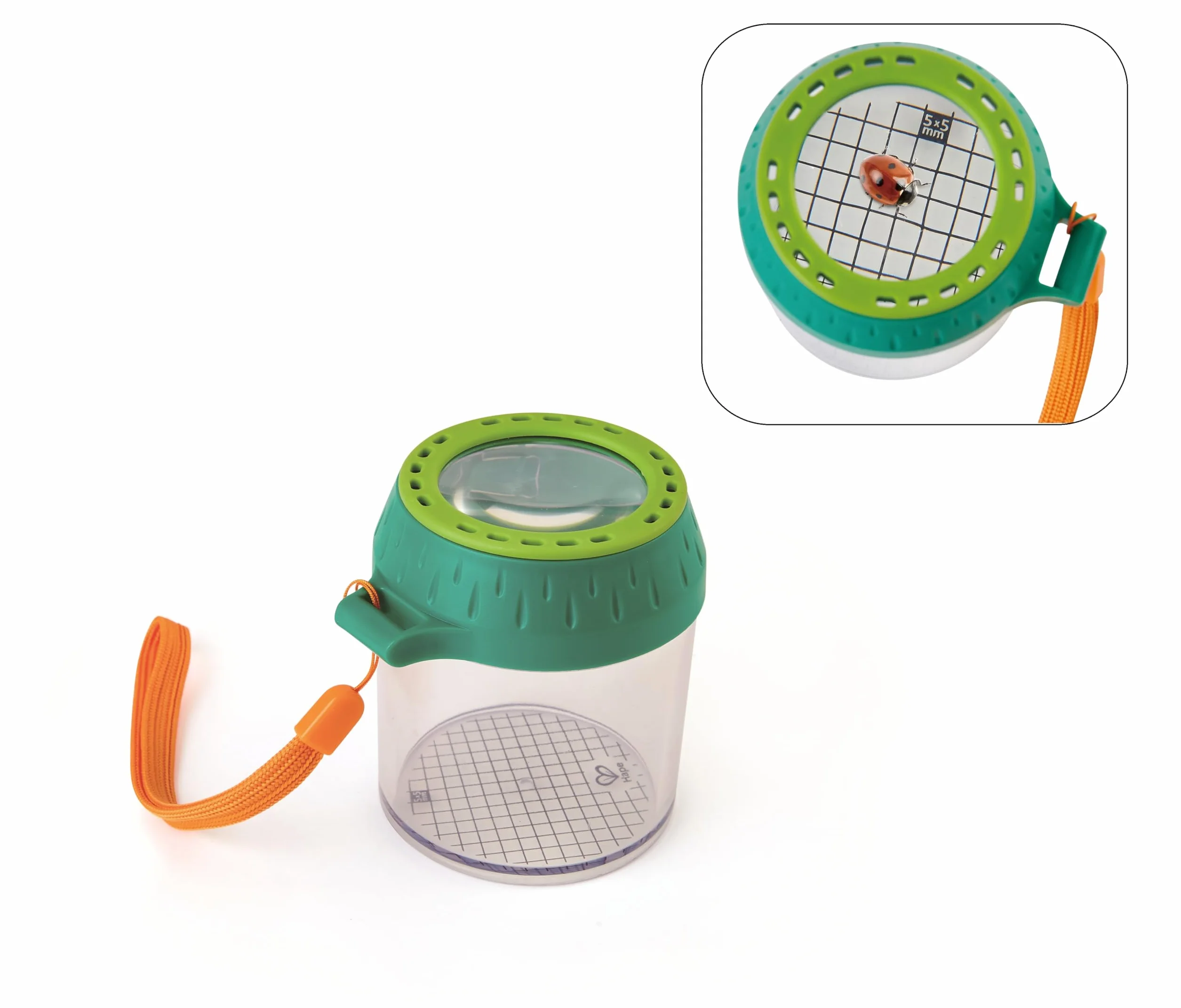 Hape Boîte à Insectes pour Enfants avec Loupe - Pot en Plastique Végétal, Loupe x4, 5+ Ans, Kit Exploration Nature