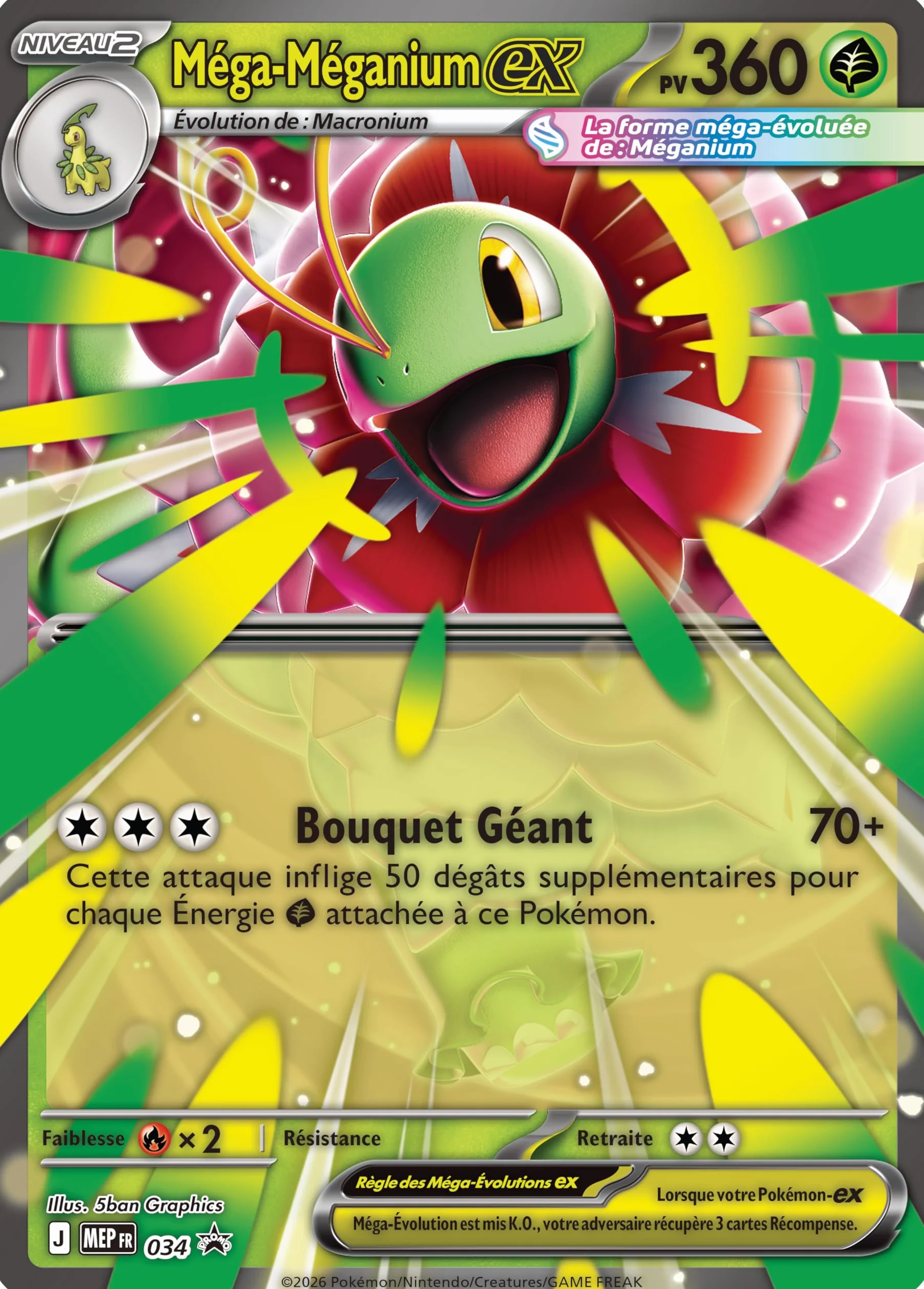 Pokémon Coffret Méga-Évolution Héros Transcendants Méga-Méganium-ex Carte Promo Brillante Grand Format Lenticulaire 4 Boosters