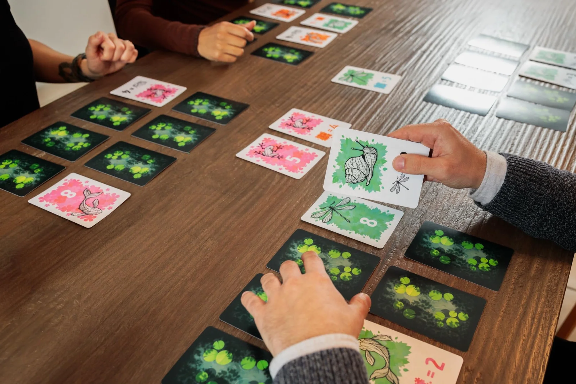 Blackrock Games SYMBIOSE - Jeu de société - Cartes - 8 Ans - 2-4 Joueurs - 15 Minutes - Stratégie - Créez Vos Paysages