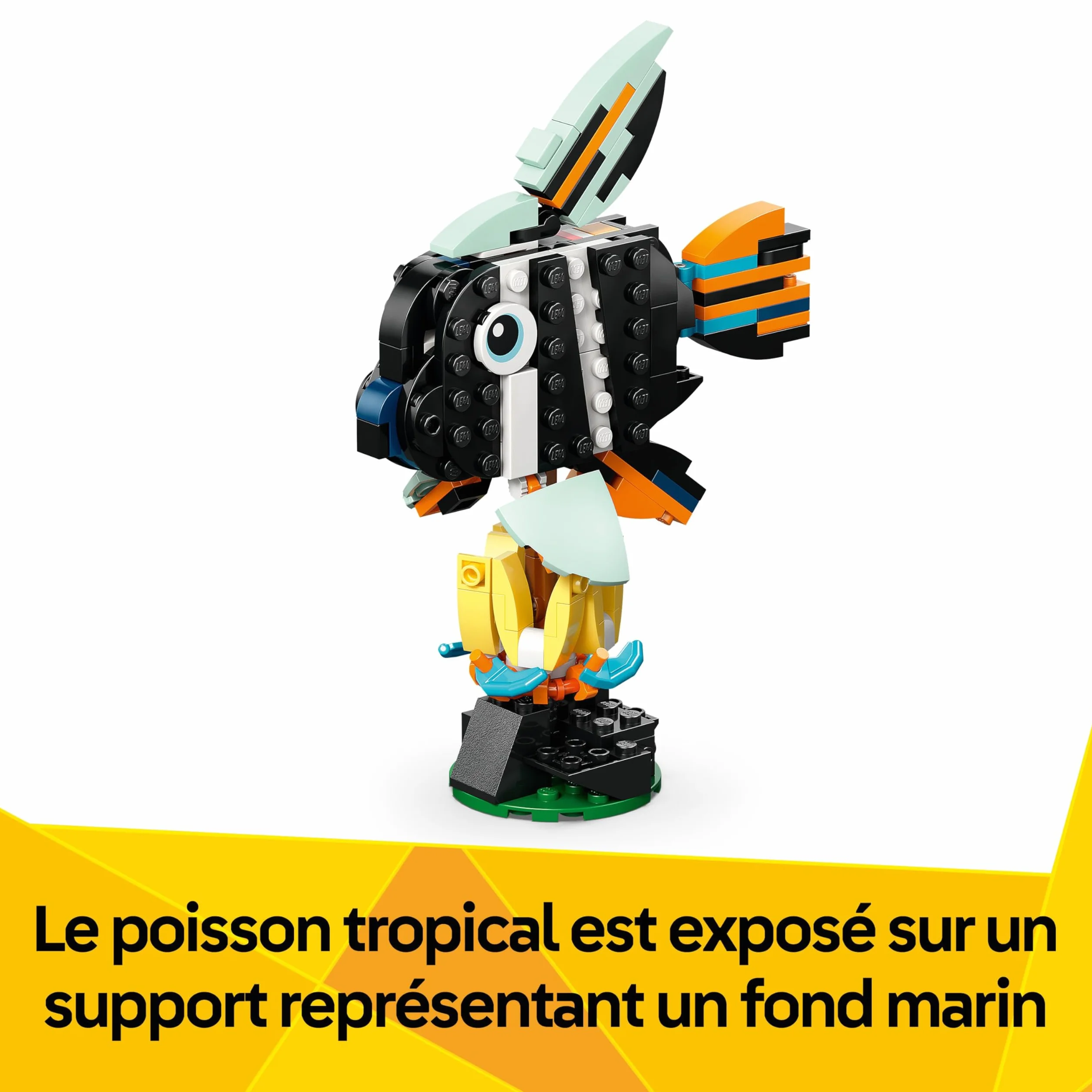 LEGO Creator 3-en-1 Animaux Sauvages Toucan Tropical Oiseau avec Fleur Jouet Animal Transformable Papillon Poisson Tropical Cadeau 7 Ans 31173