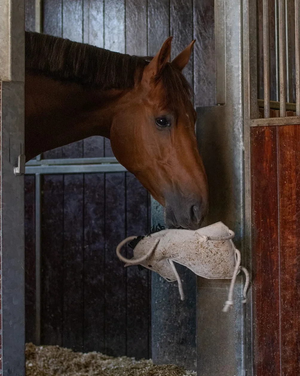 QHP Jouet pour chevaux Relax toy Pony