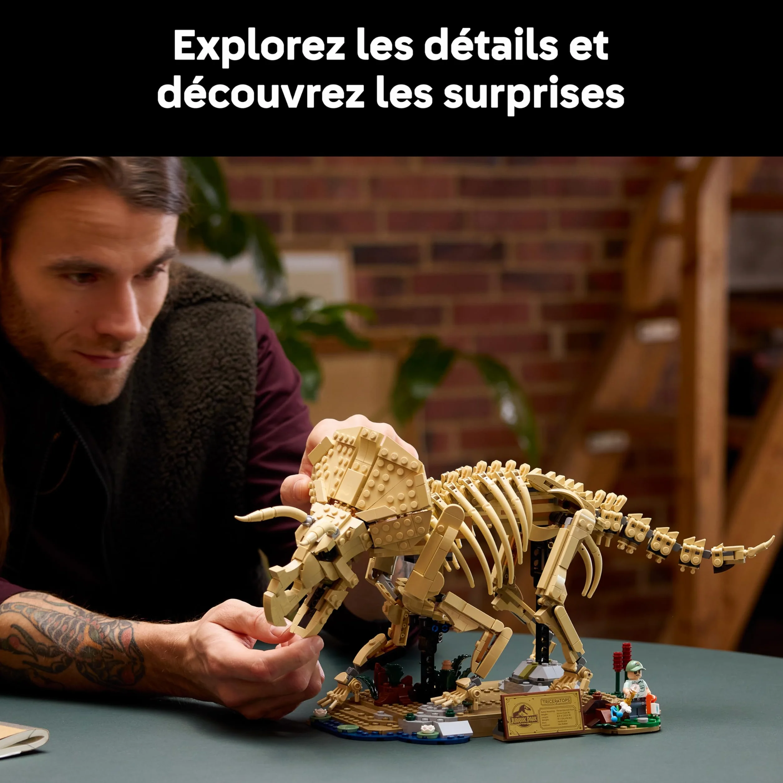 LEGO Jurassic World Les Fossiles de Dinosaure : Le Tricératops Maquette pour Adulte Minifigurine Dr Gerry Harding 77985