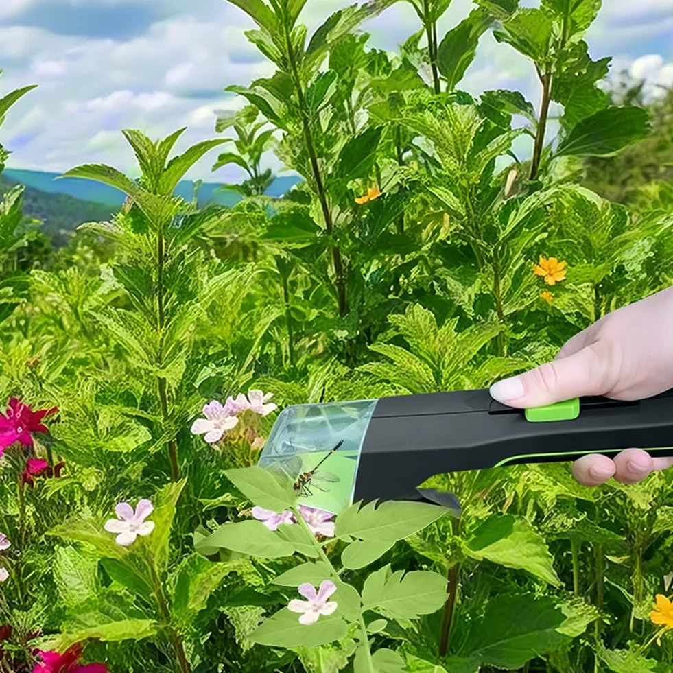 Attrape Insecte et Araignée pour Enfants et Adultes - Vert