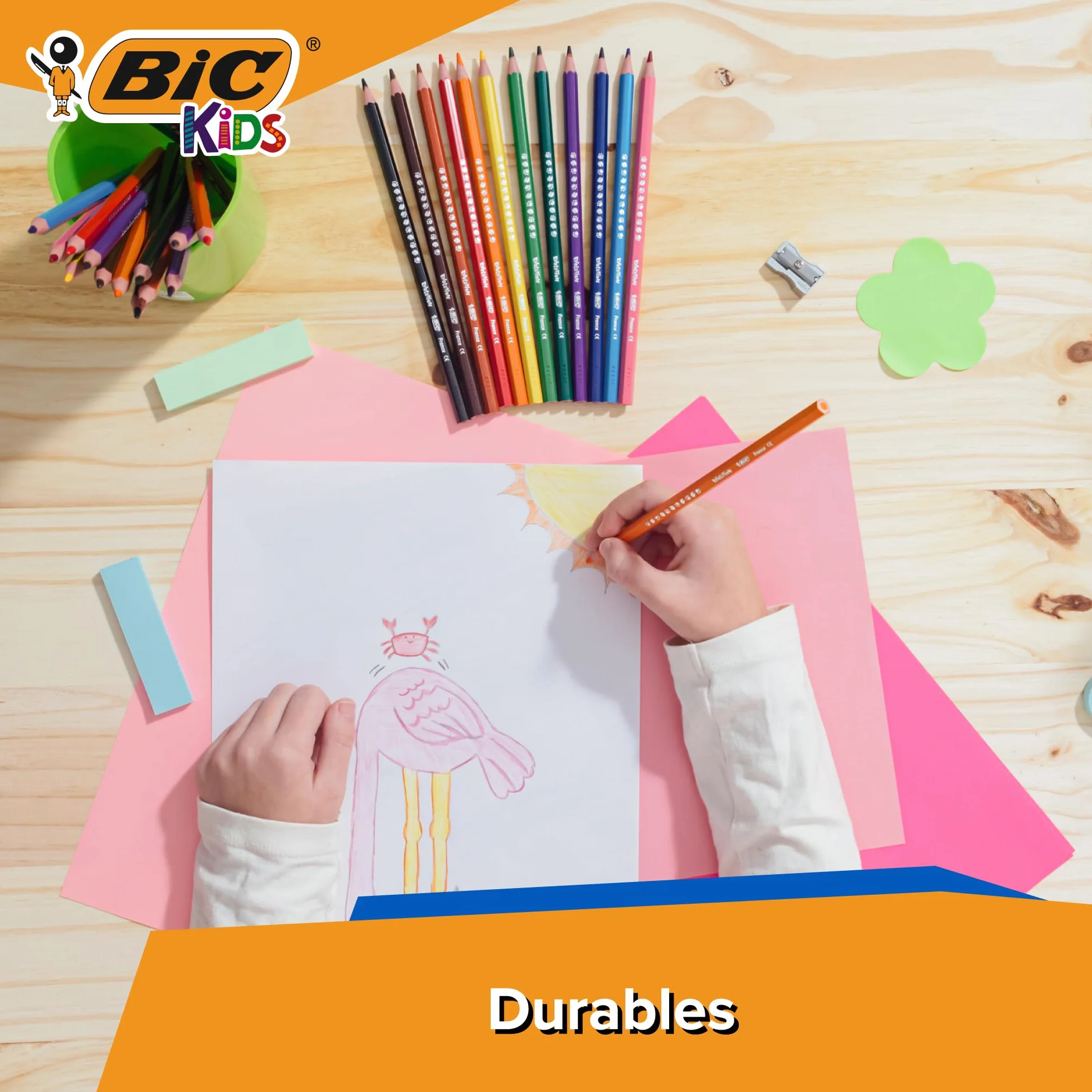 BIC Kids Ecriture Evolution Crayons de Couleur Eco-responsables - Etui Carton de 24